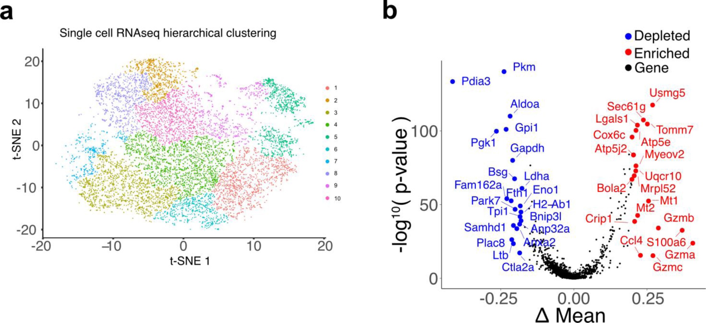 Supplementary Figure 8
