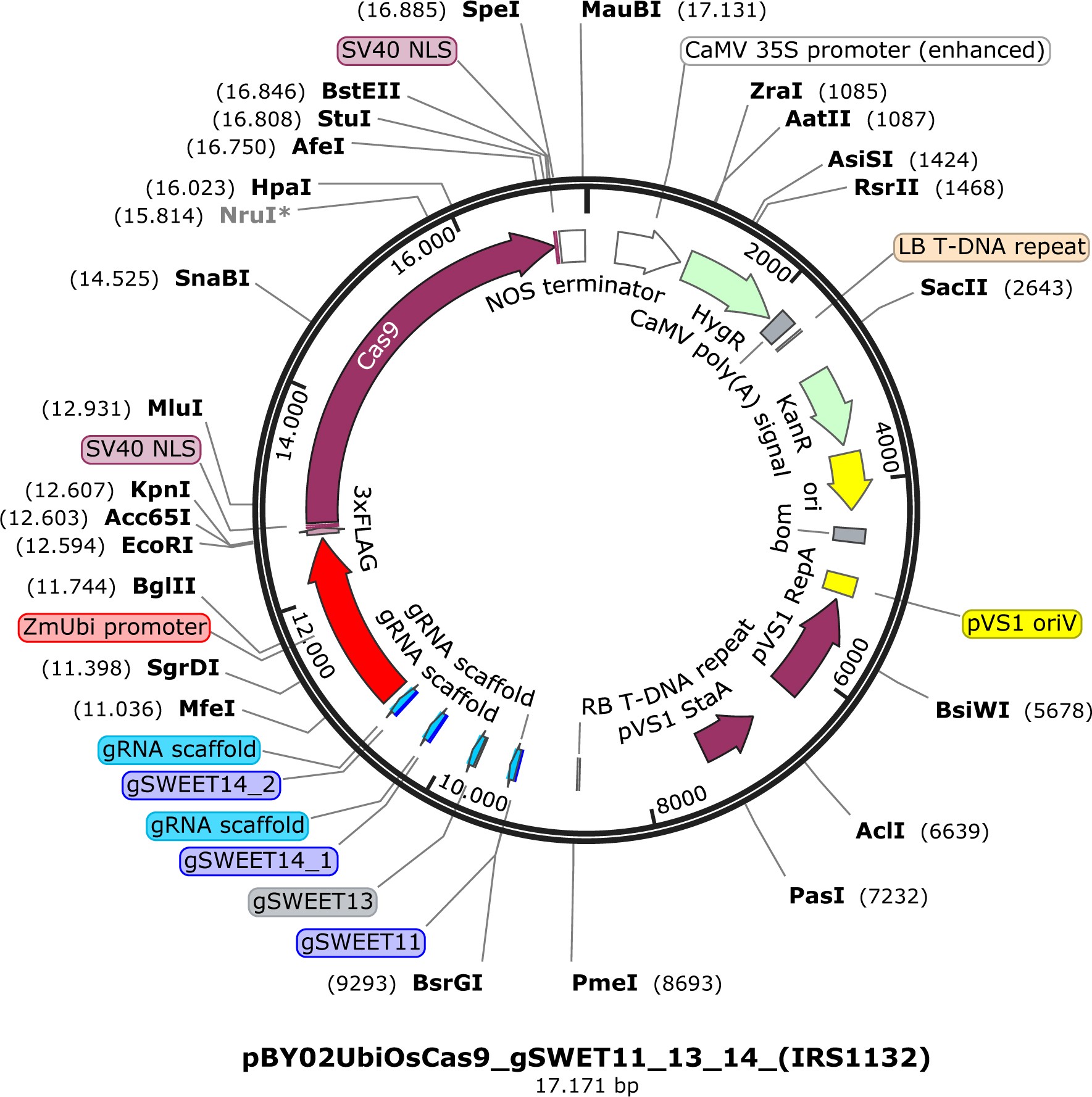Supplementary Figure 9