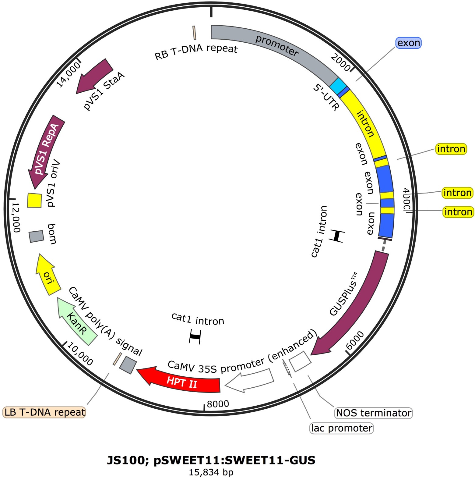 Supplementary Figure 6