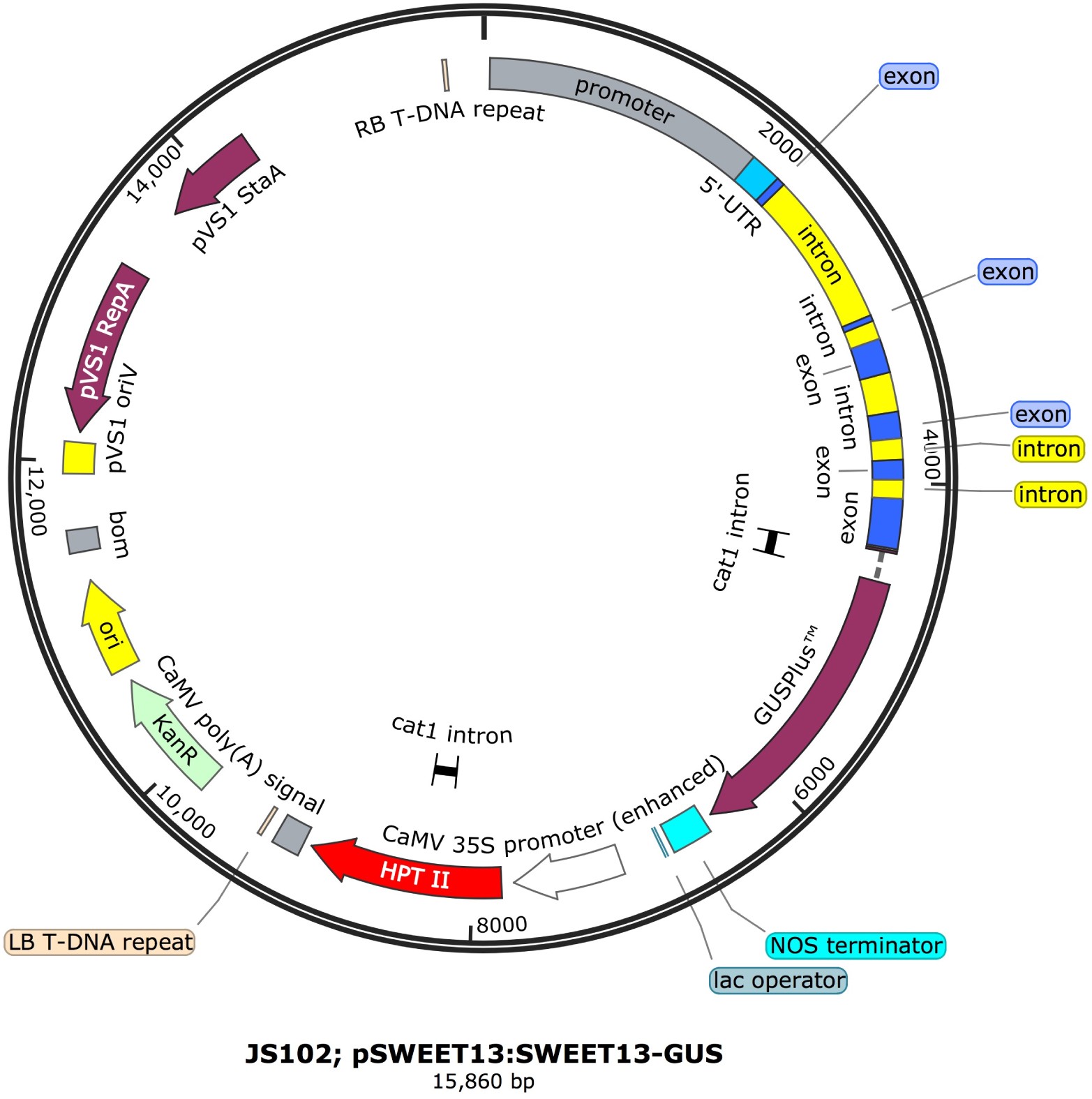 Supplementary Figure 7