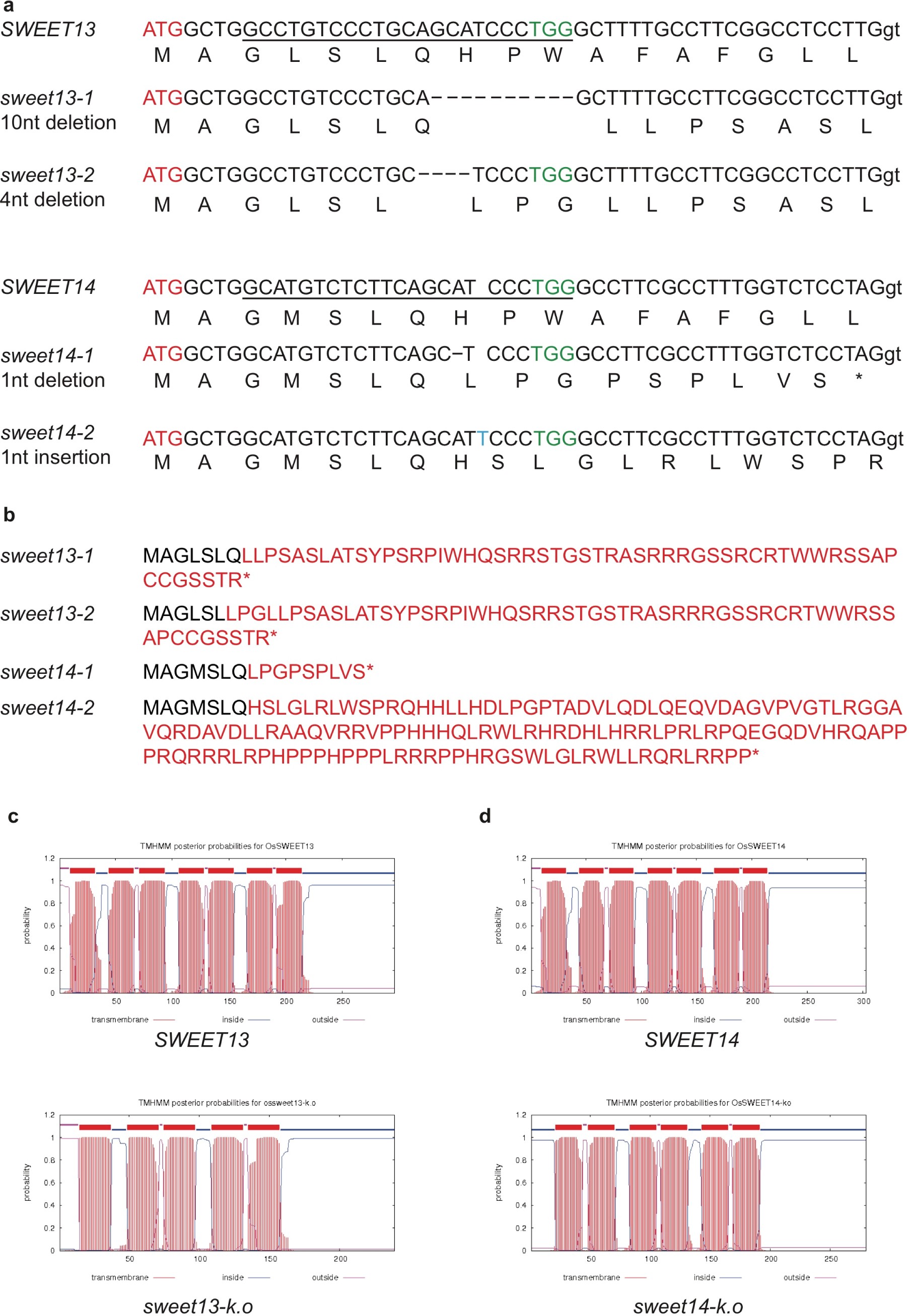 Supplementary Figure 10