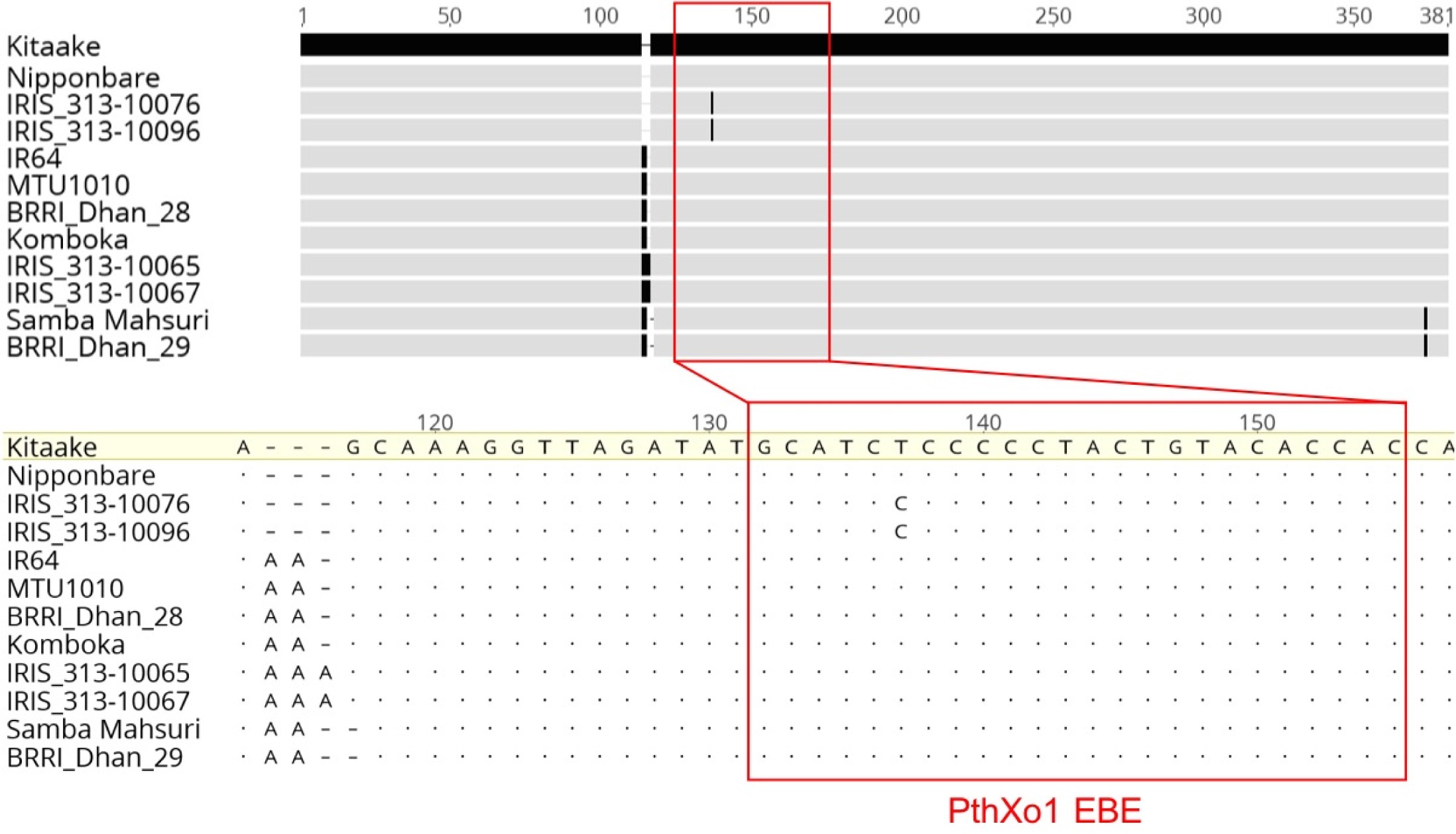 Supplementary Figure 1