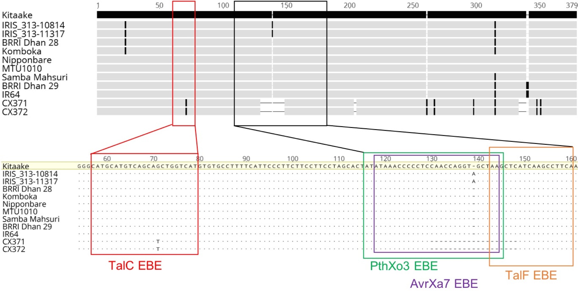 Supplementary Figure 3