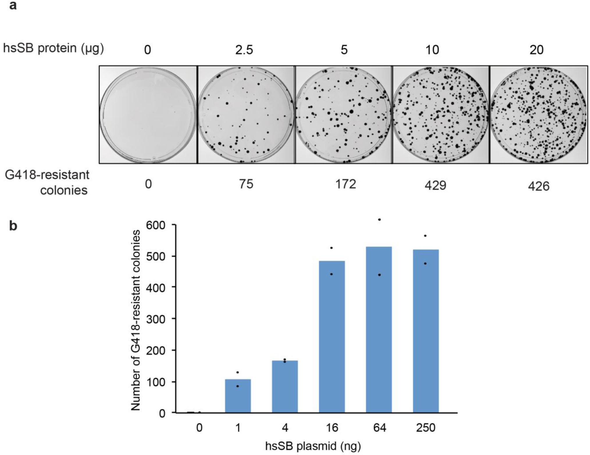 Supplementary Figure 2: Transposition assays in HeLa cells.
