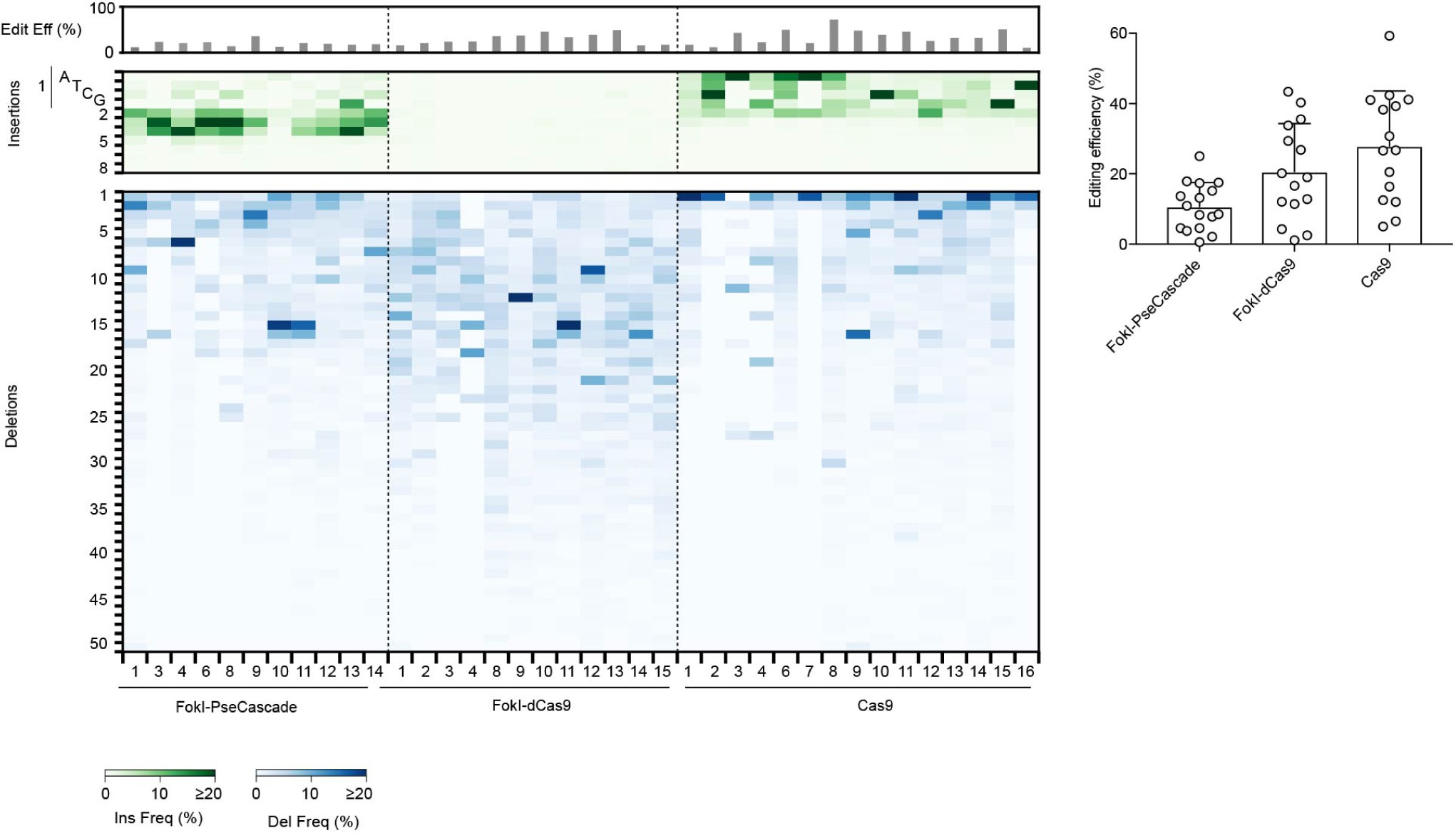 Supplementary Figure 12: Comparison of editing efficiency and DNA repair outcomes with FokI-PseCascade, FokI-dCas9, and wild-type Cas9.