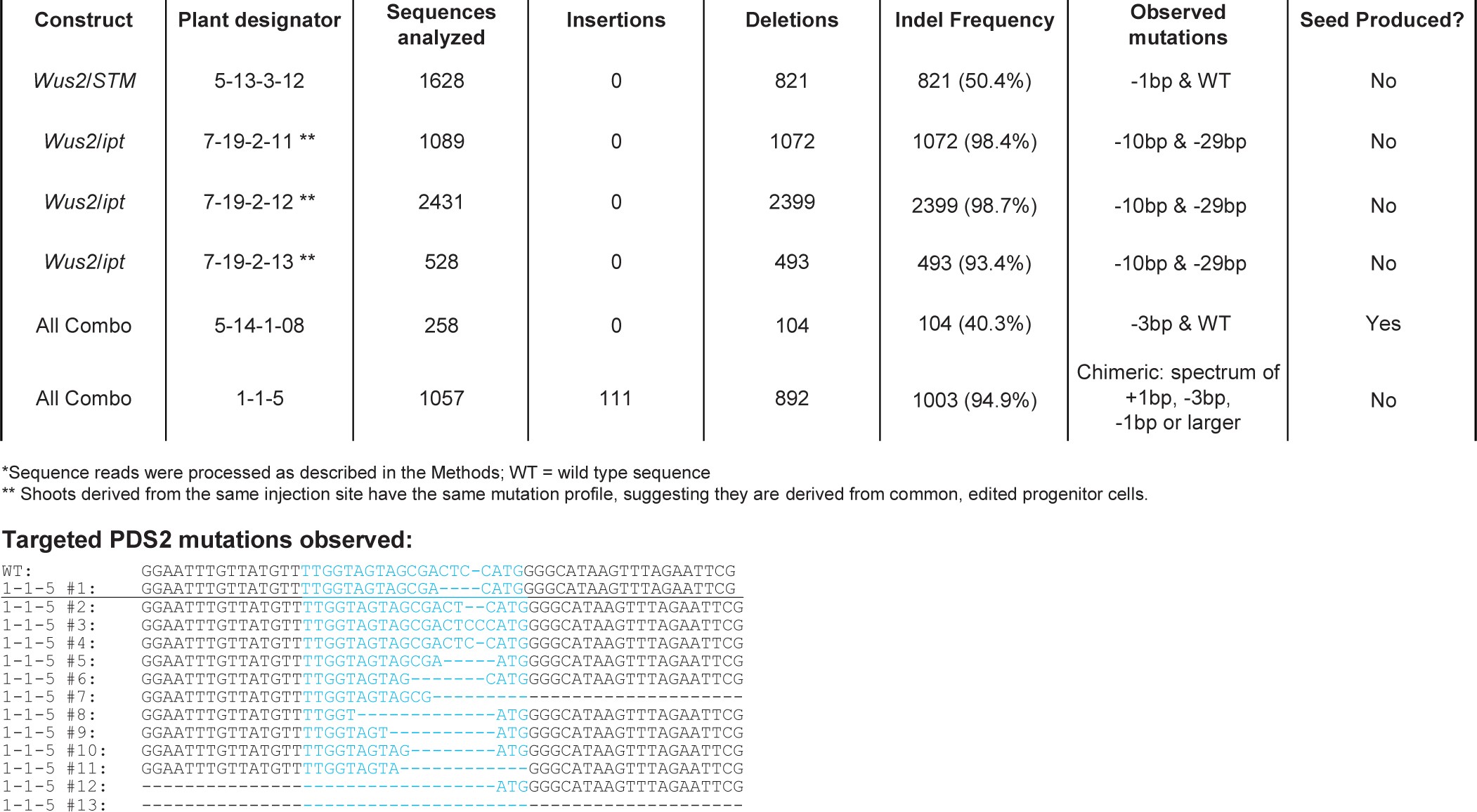 Supplementary Figure 9: Evidence for gene editing in plants derived from the experiment described in Fig. 4b.