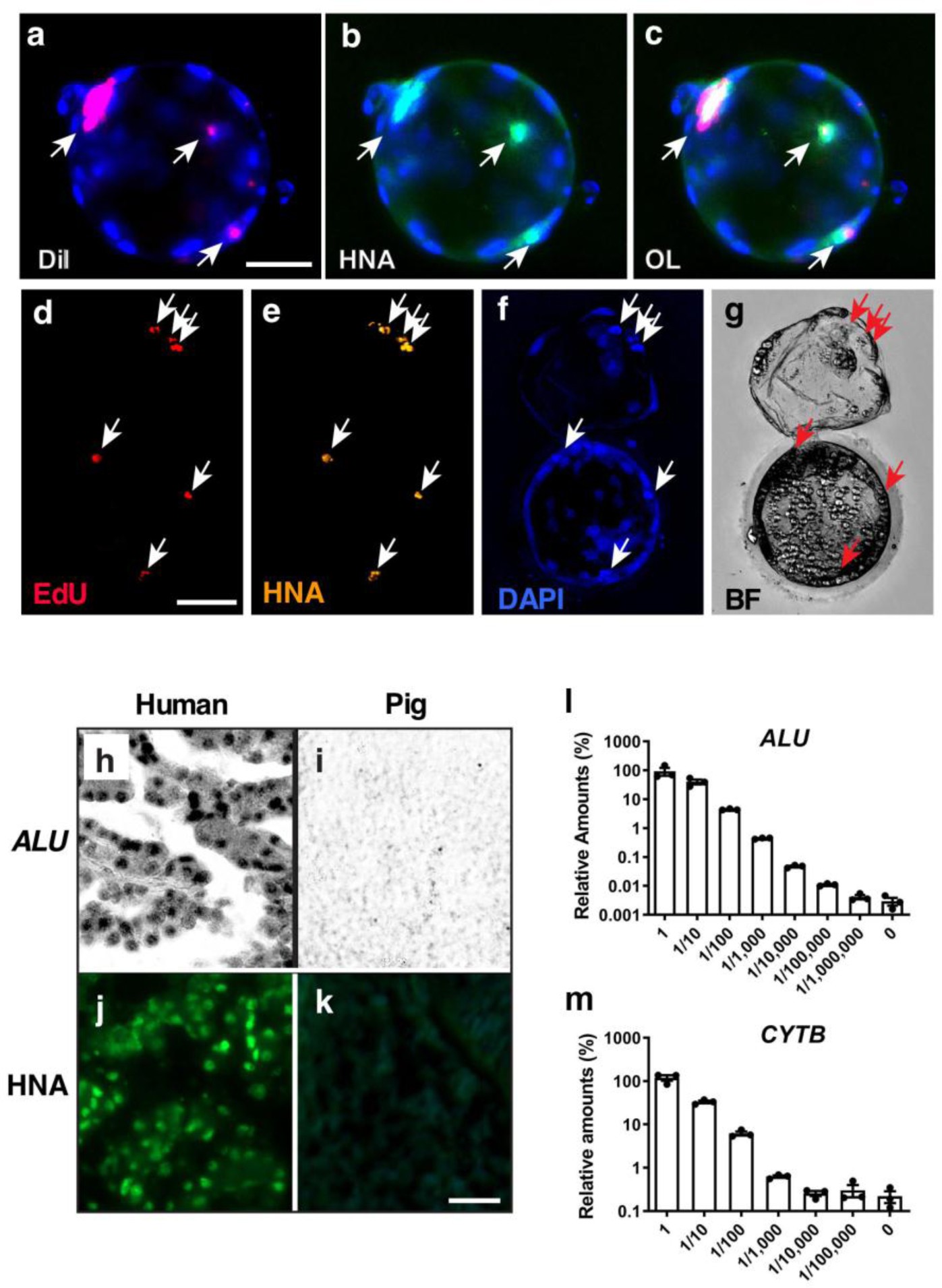 Supplementary Figure 10