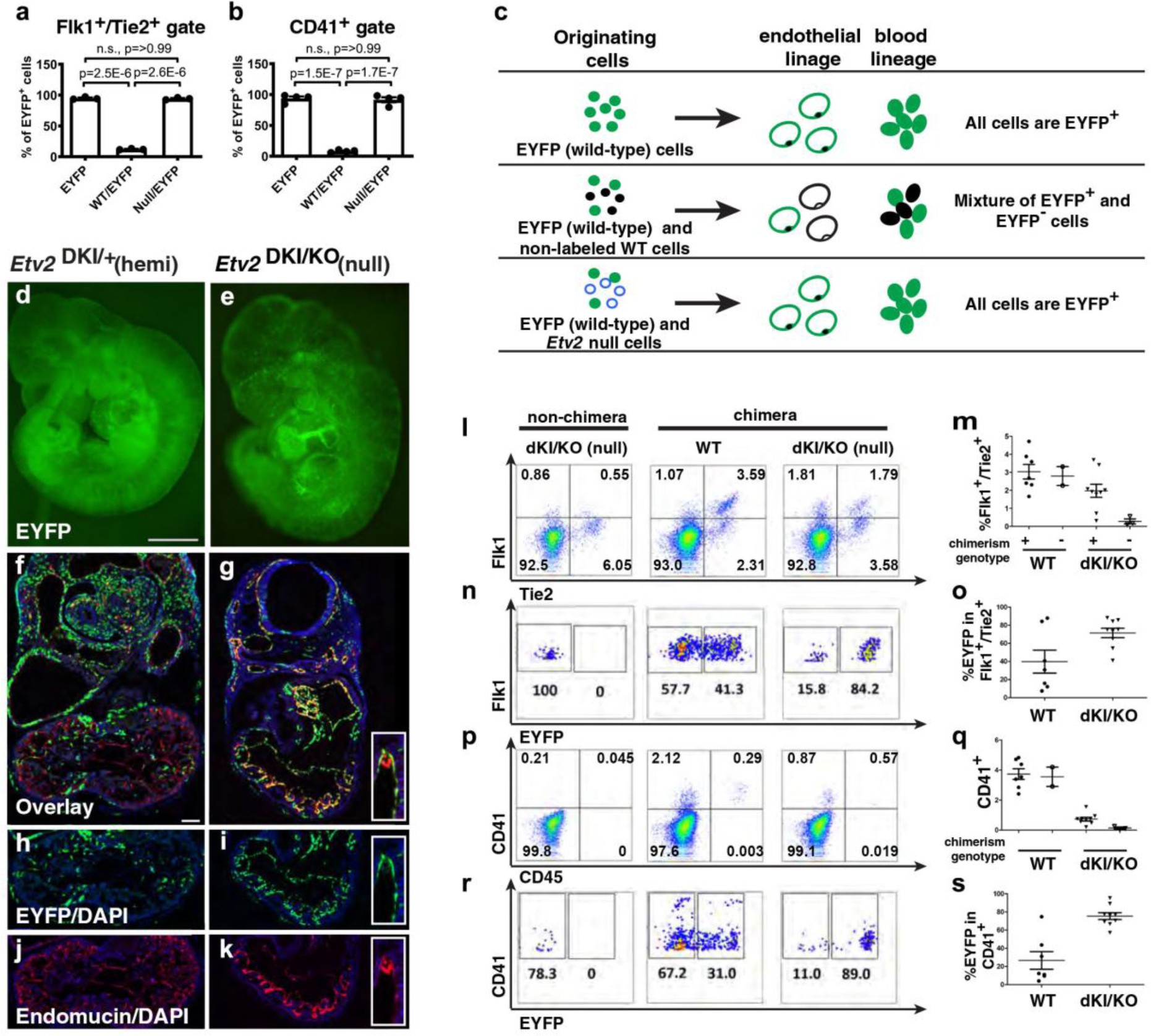 Supplementary Figure 1