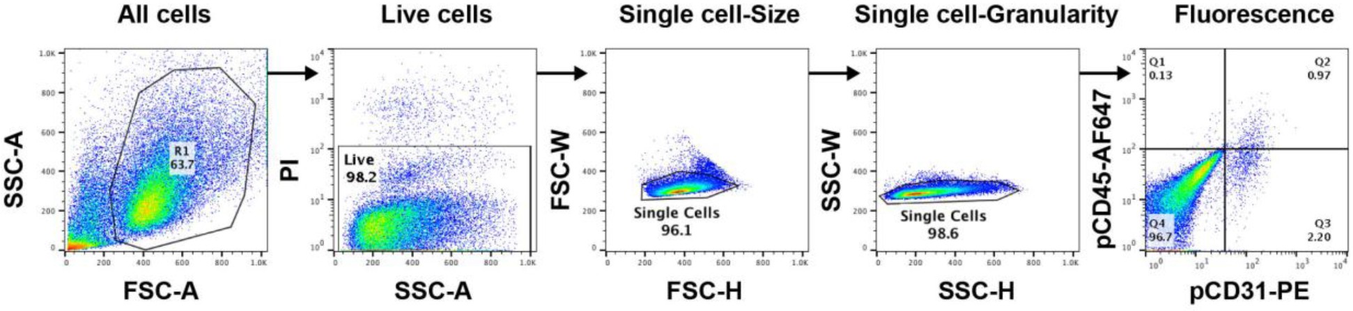 Supplementary Figure 5