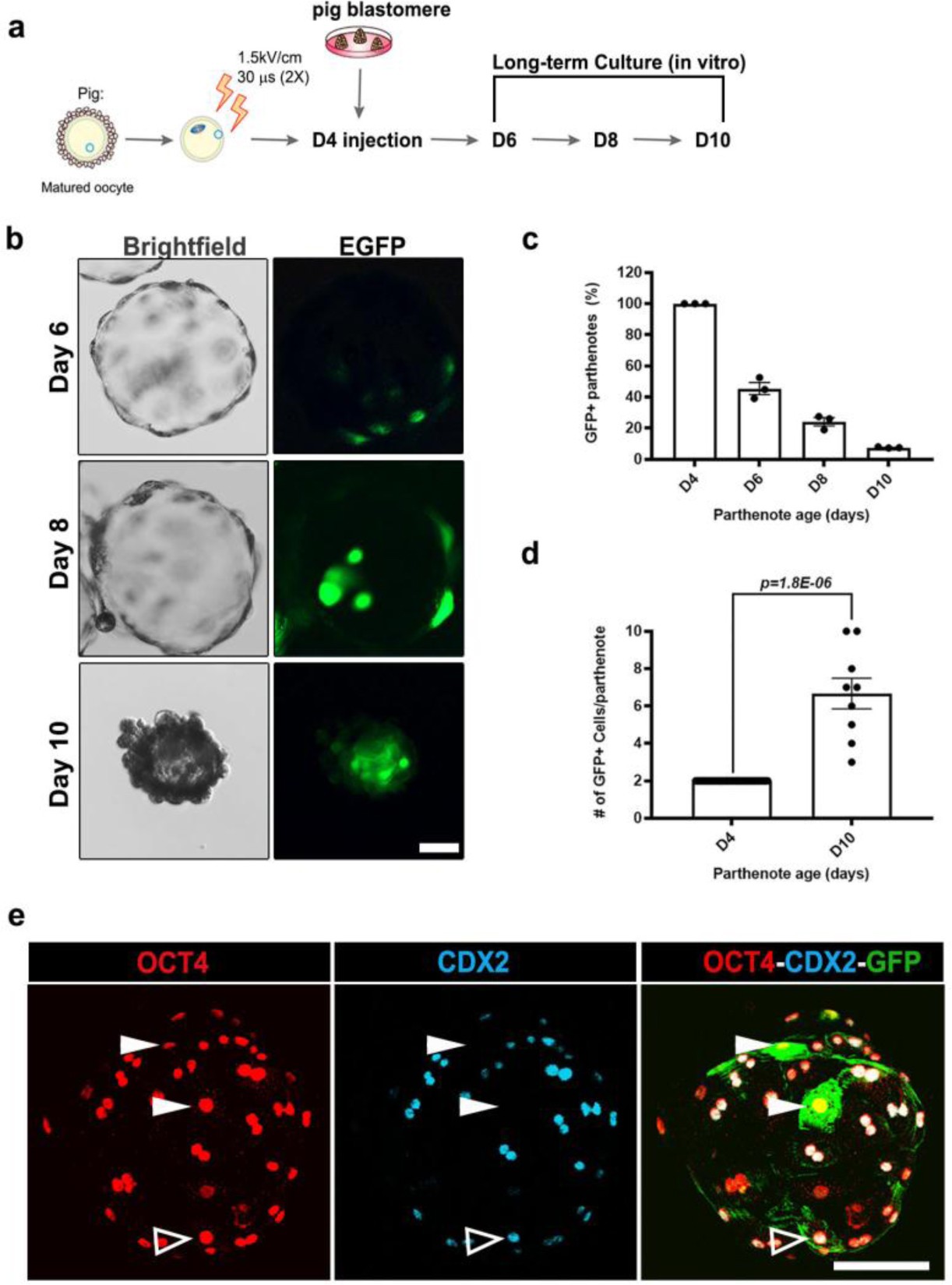 Supplementary Figure 6