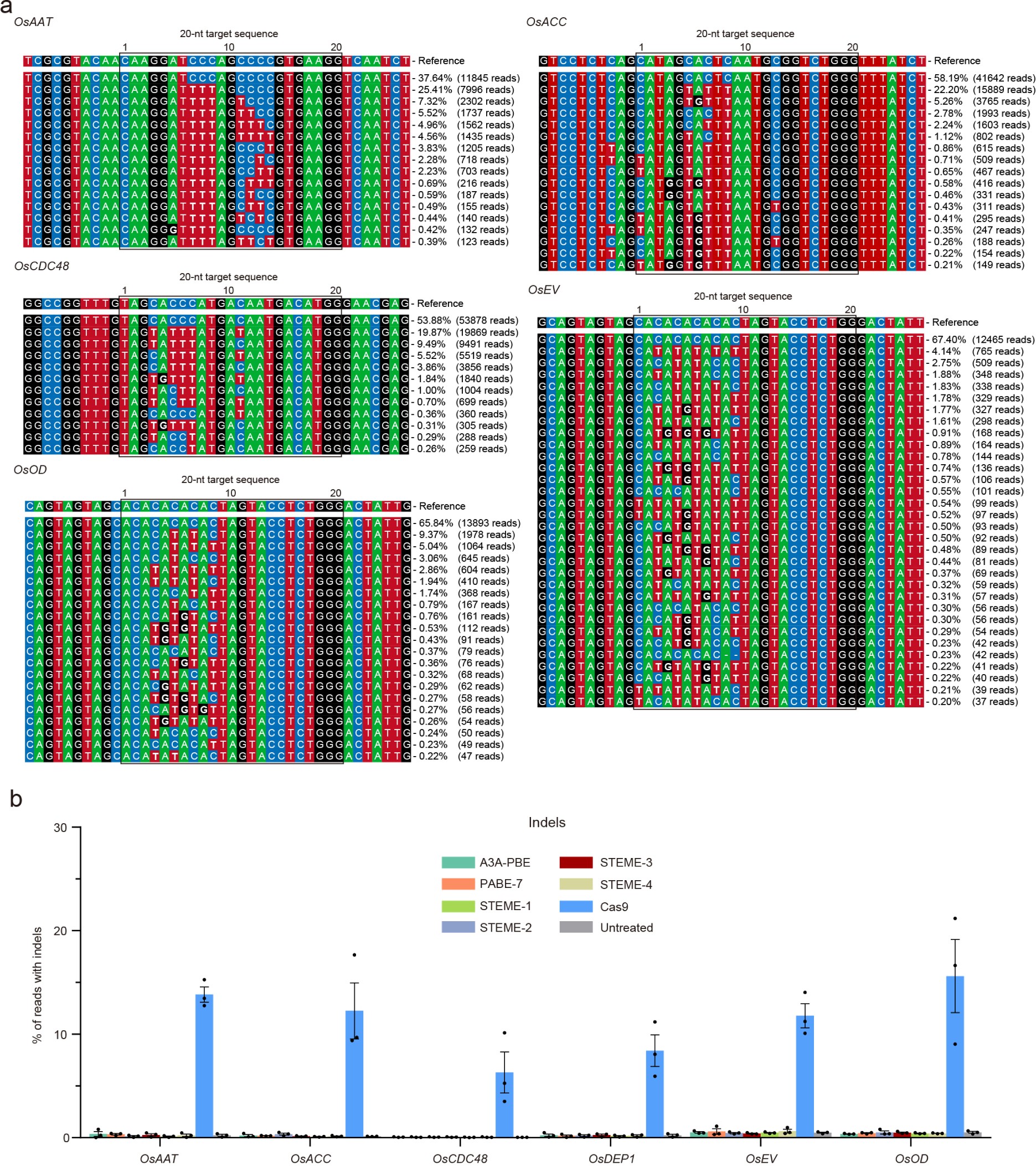 Supplementary Fig. 2: The allelic outcomes and indel value of STEMEs in rice protoplasts.