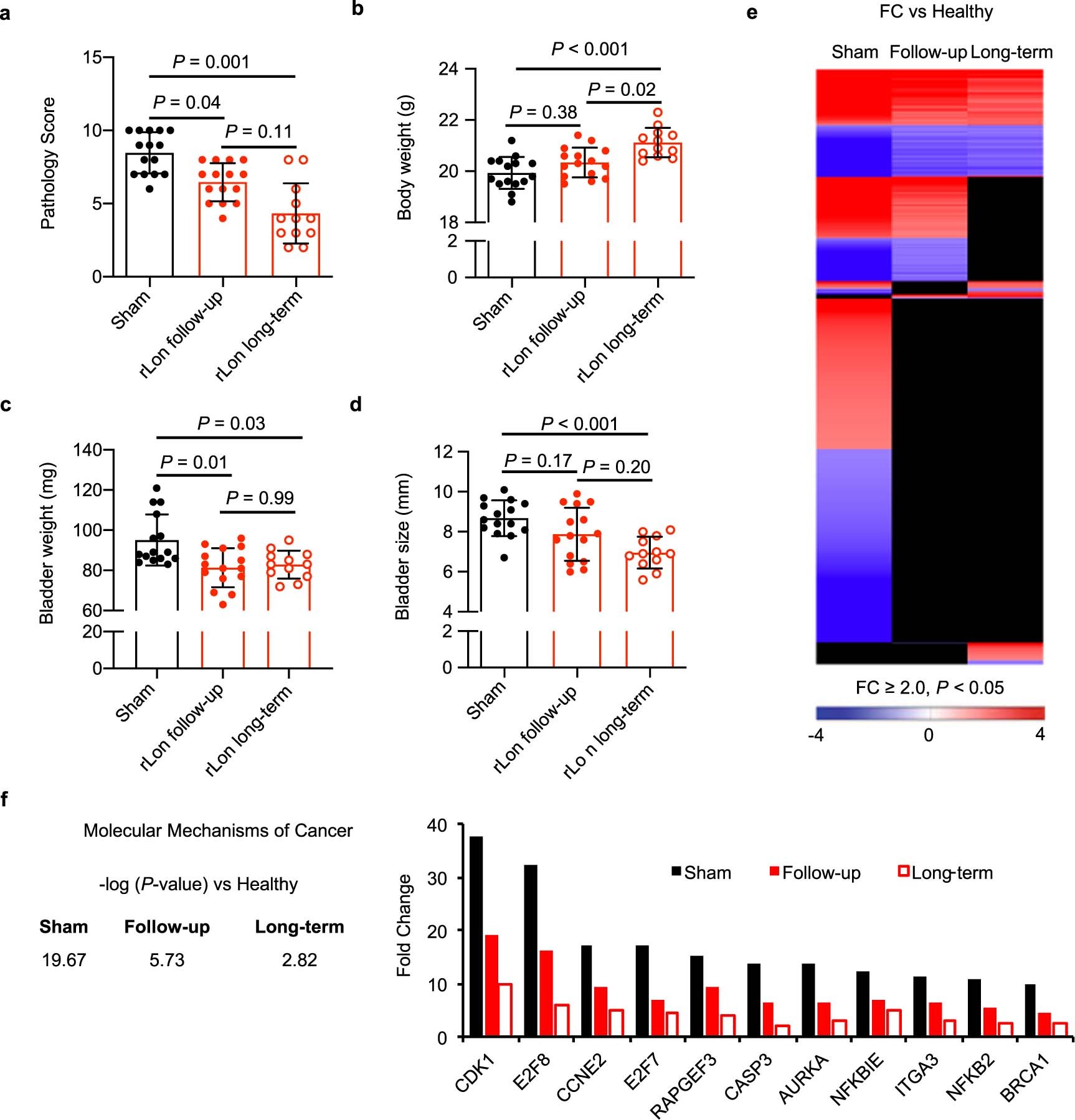 Extended Data Fig. 8: Long-term effects of recombinant Lon protease treatment in the MB49 bladder cancer model.