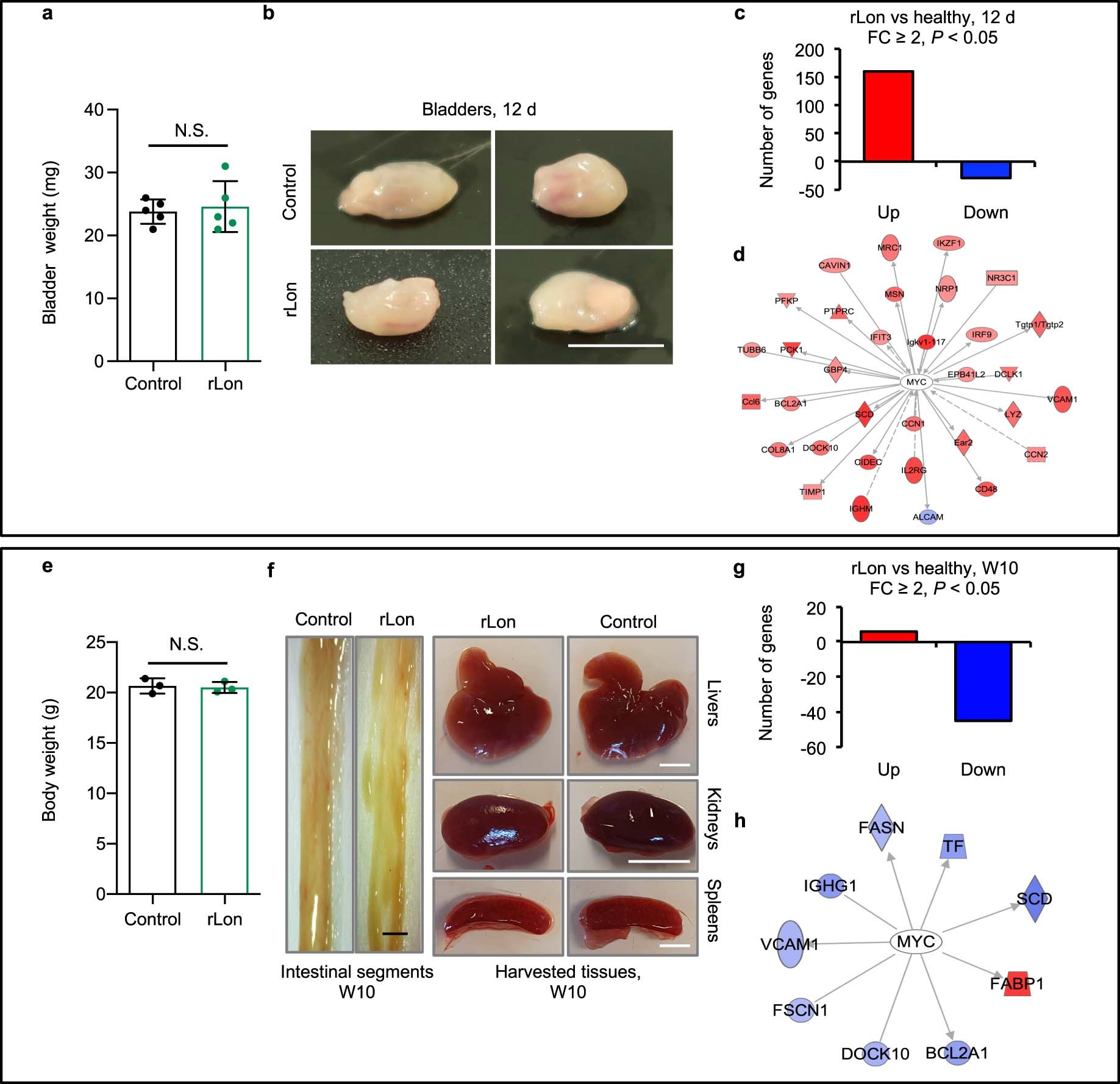 Extended Data Fig. 10: Control experiment for Figs. 5 and 6.