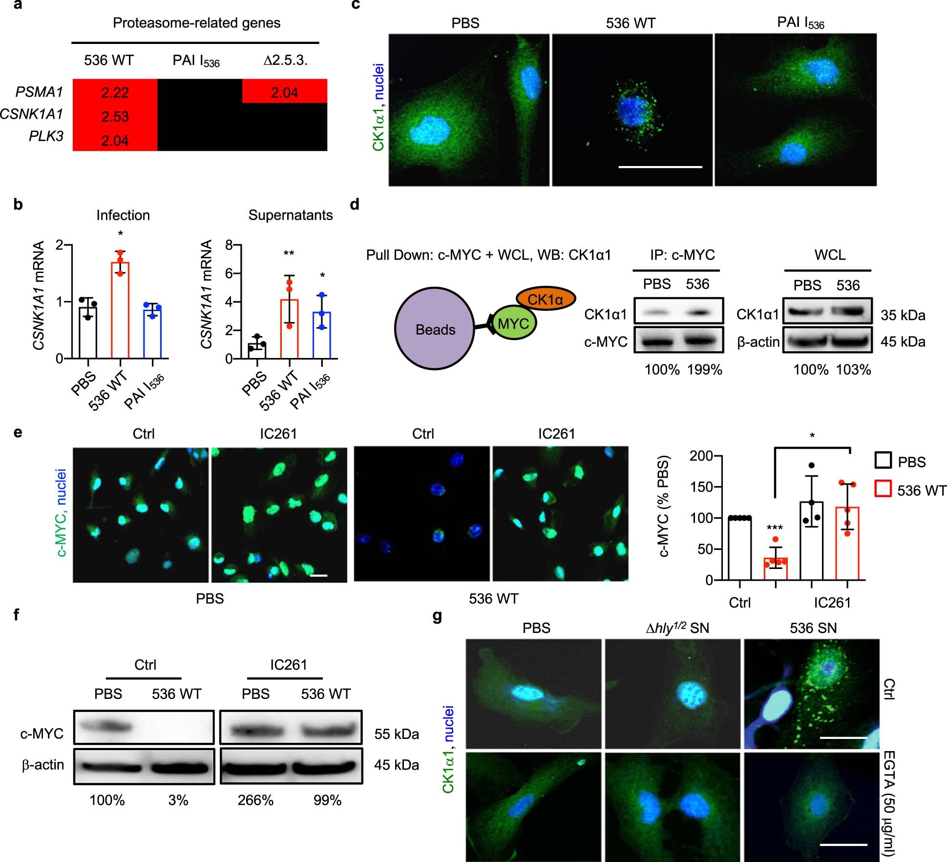Extended Data Fig. 3: Control experiments for Main Fig. 4.