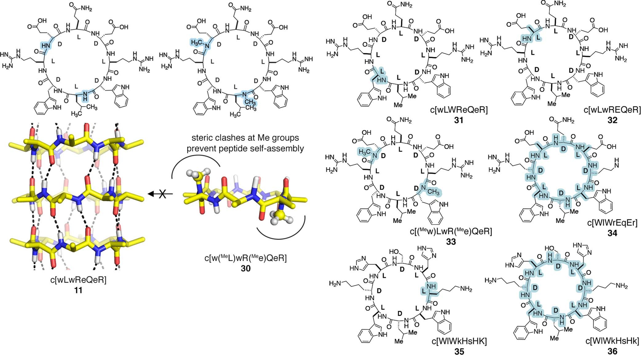 Extended Data Fig. 4: Design rationale and structures for mechanism-of-action control peptides.
