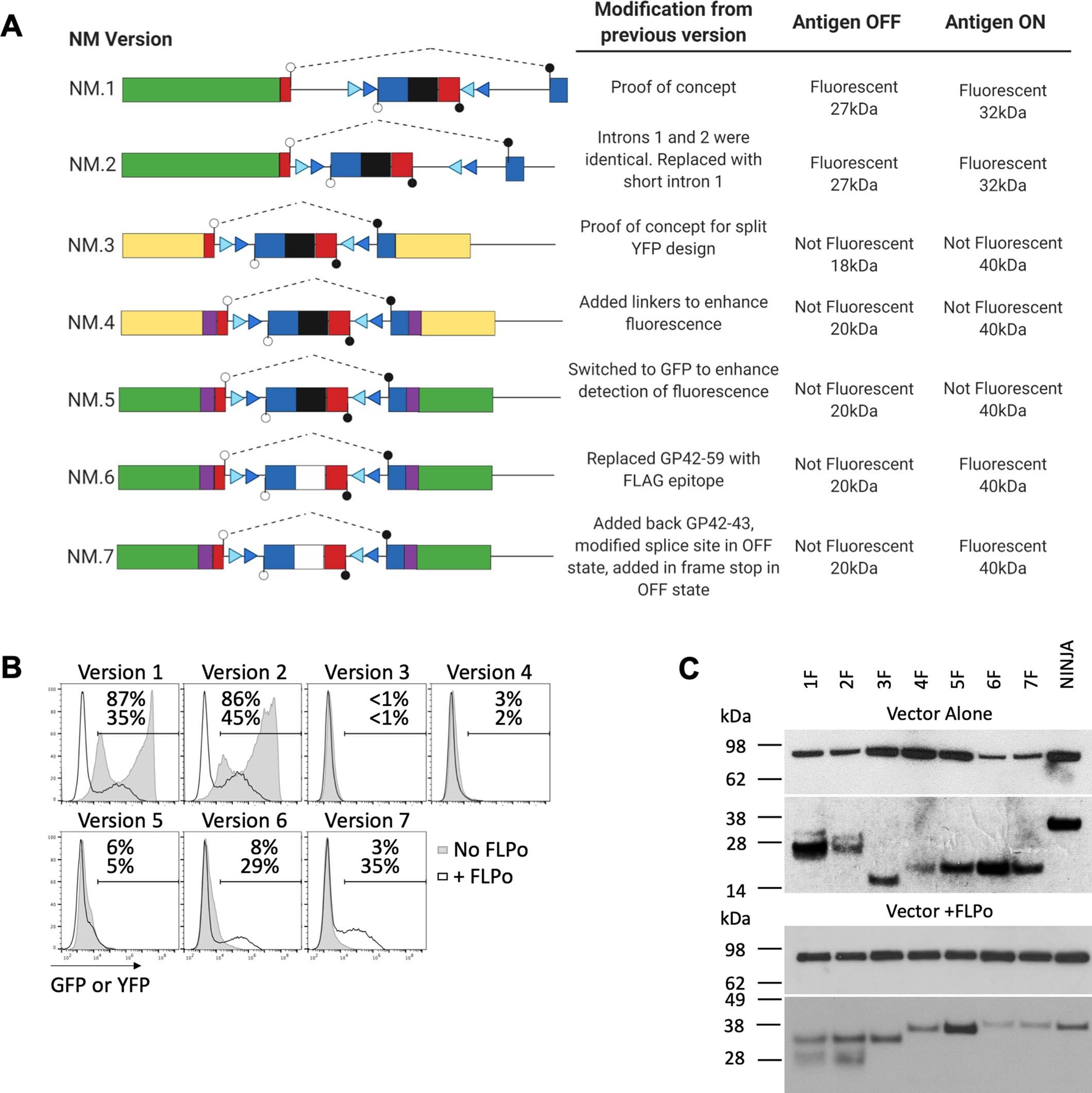 Extended Data Fig. 2