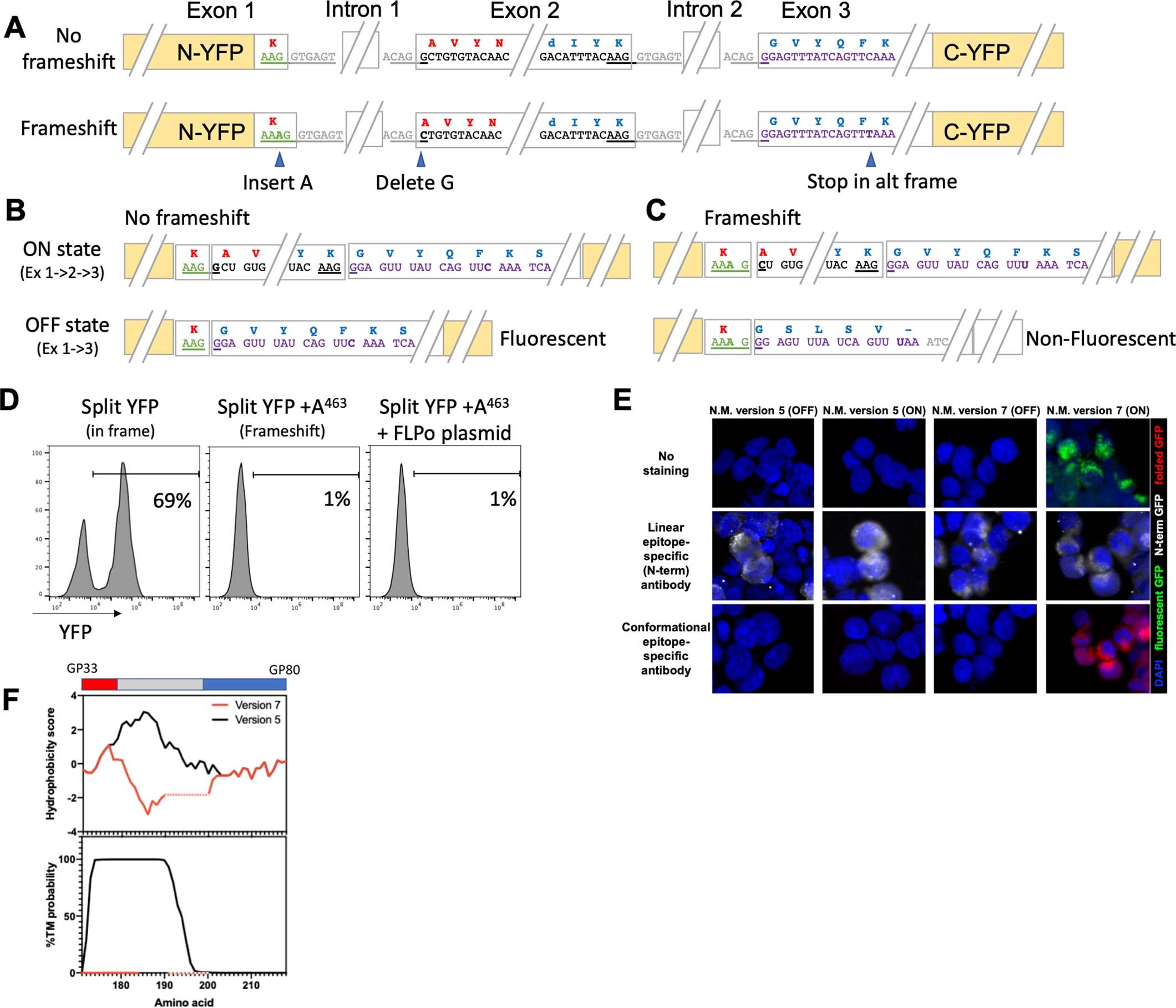 Extended Data Fig. 3
