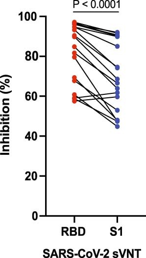 Extended Data Fig. 1: Comparison of SARS-CoV-2 RBD and S1 sVNT.