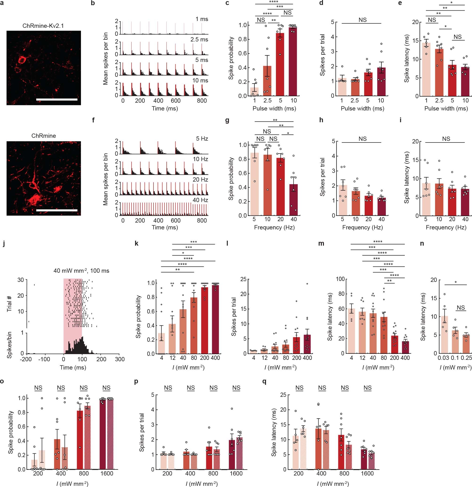 Extended Data Fig. 1: Extracellular electrophysiological characterization of transcranial deep brain optogenetics at different photostimulation parameters in mice.