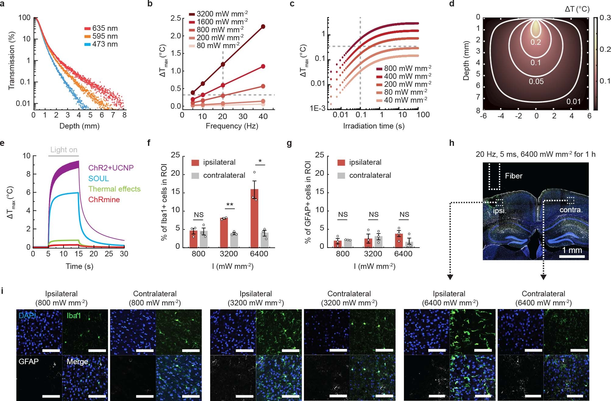 Extended Data Fig. 3: ChRmine enabled transcranial deep brain optogenetics at light powers that elicit minimal tissue heating.