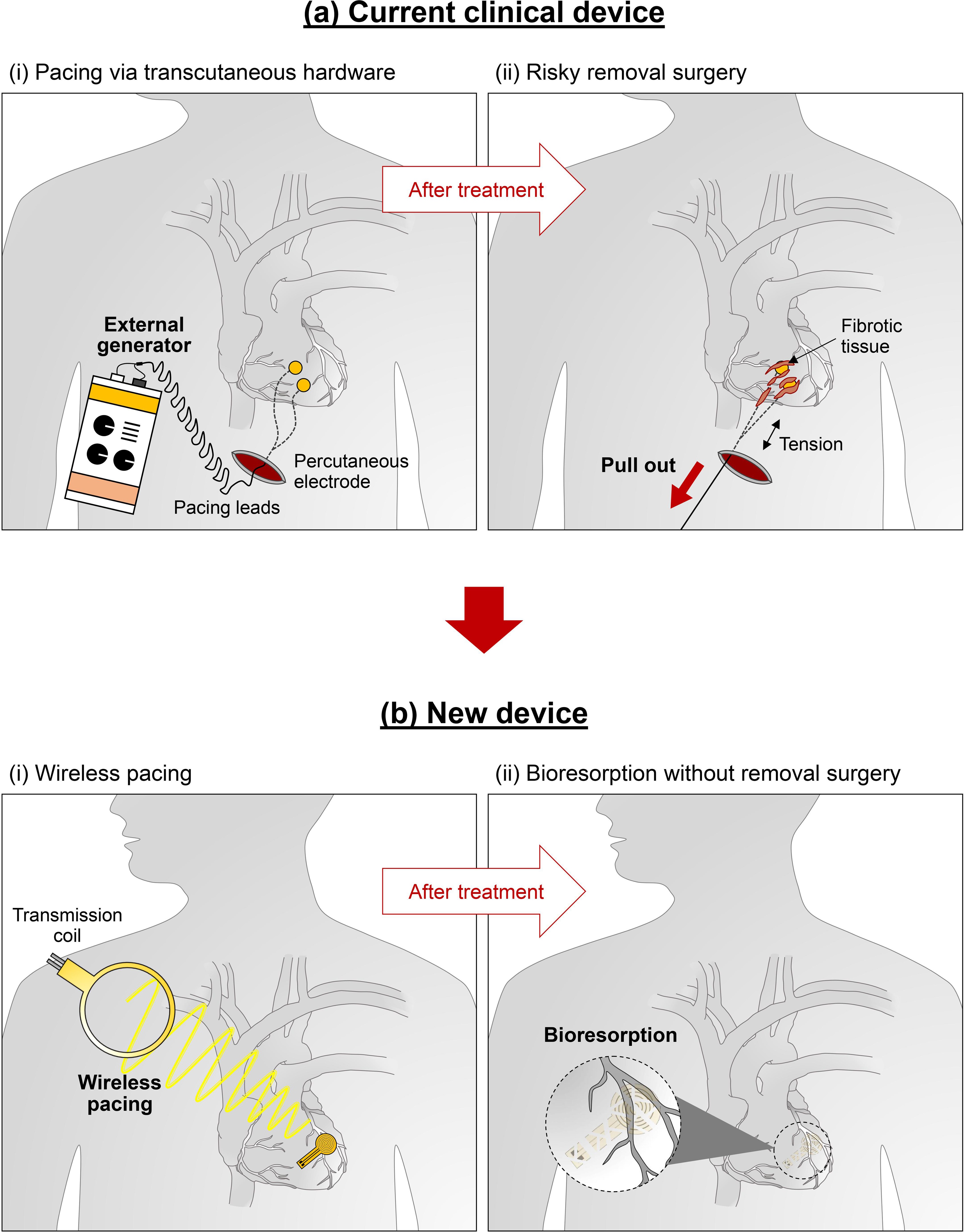 Extended Data Fig. 1