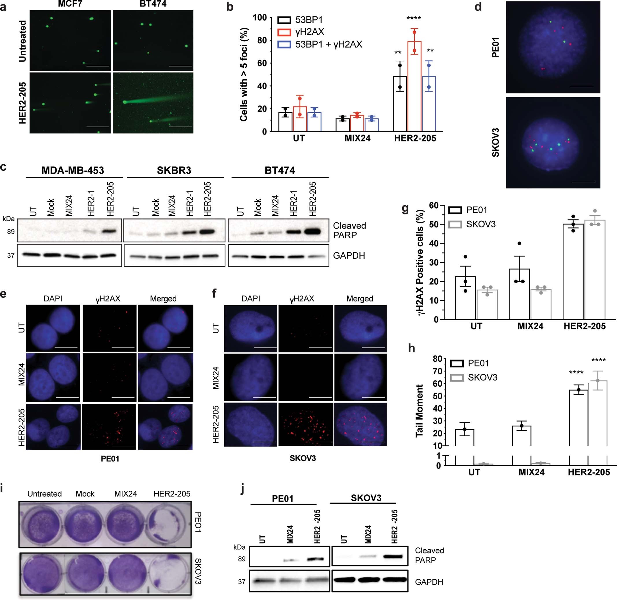 Extended Data Fig. 1