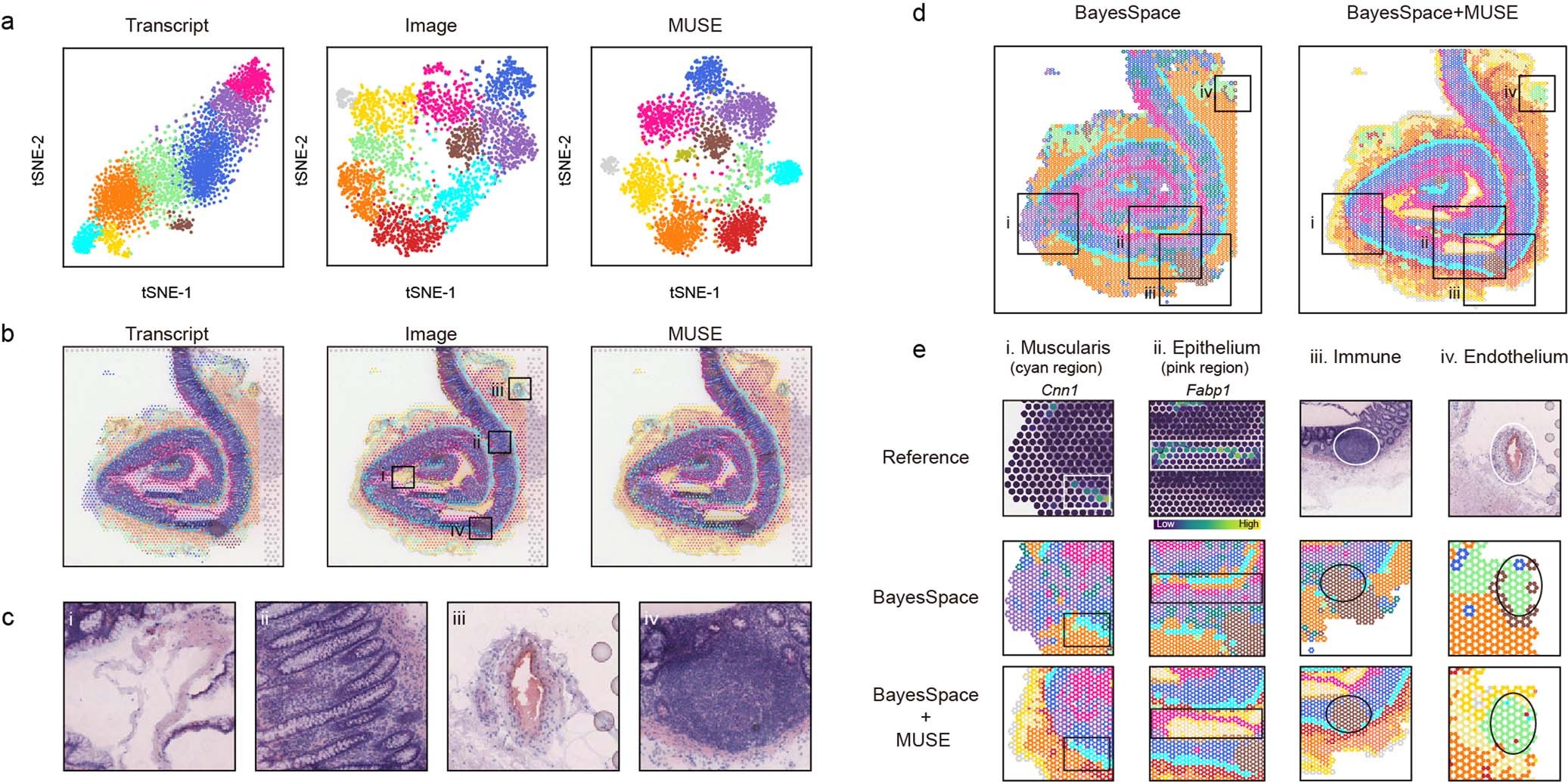 Extended Data Fig. 5