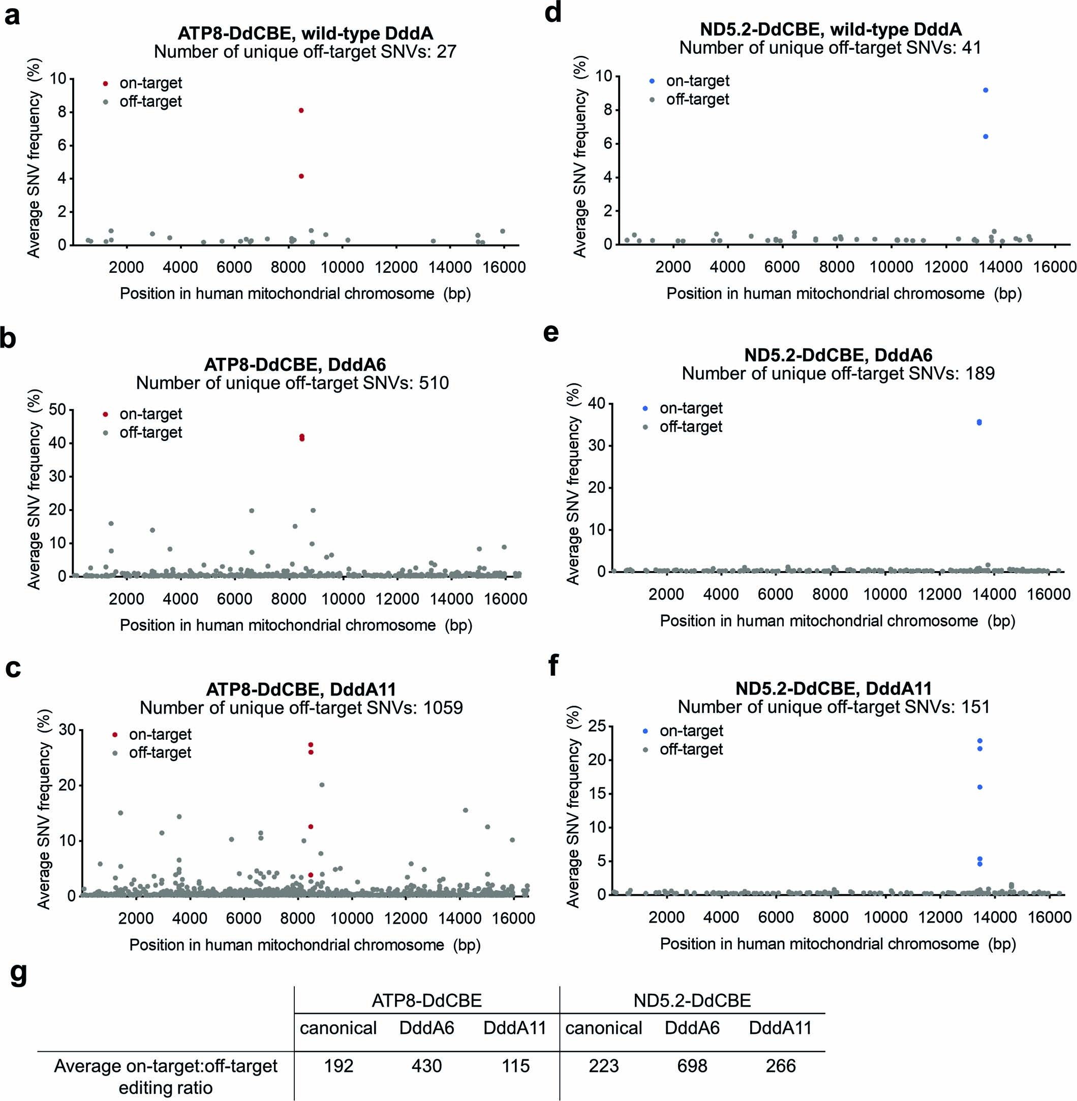 Extended Data Fig. 6: Mitochondrial genome-wide off-target C•G-to-T•A mutations.