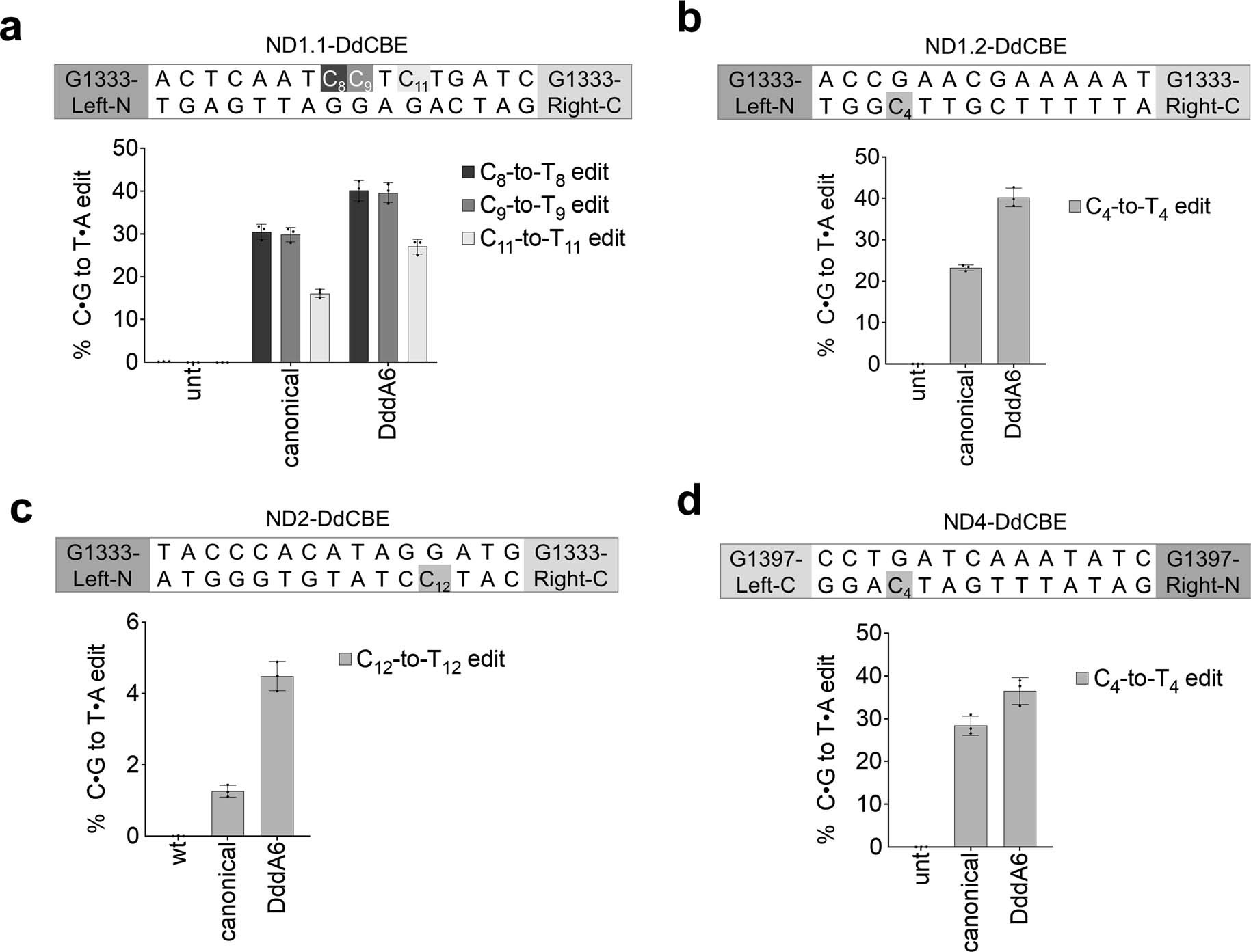 Extended Data Fig. 2: DddA6 is compatible with split-G1333 and split-G1397 DdCBE orientations.