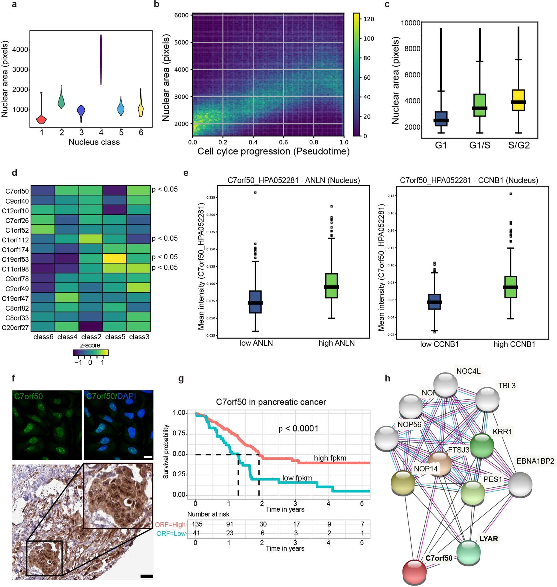 Extended Data Fig. 3: DVP discovers uncharacterized proteins with potential clinical relevance.