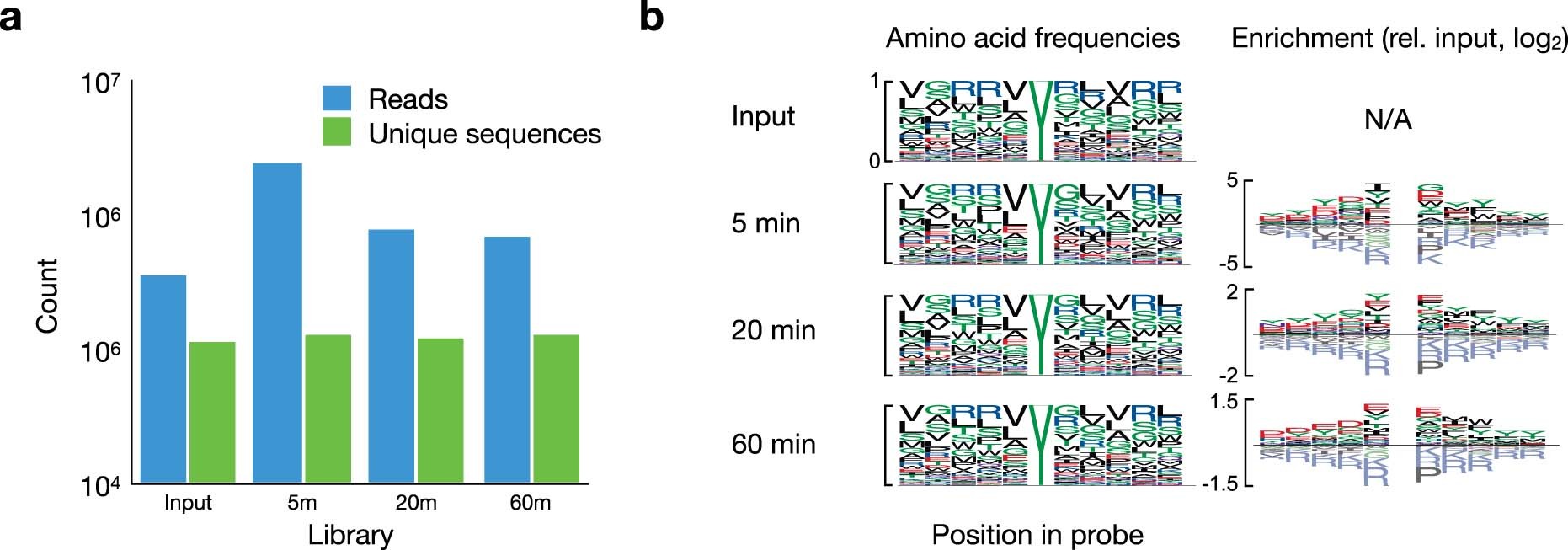 Extended Data Fig. 10: Composition of the Kinase-seq libraries.