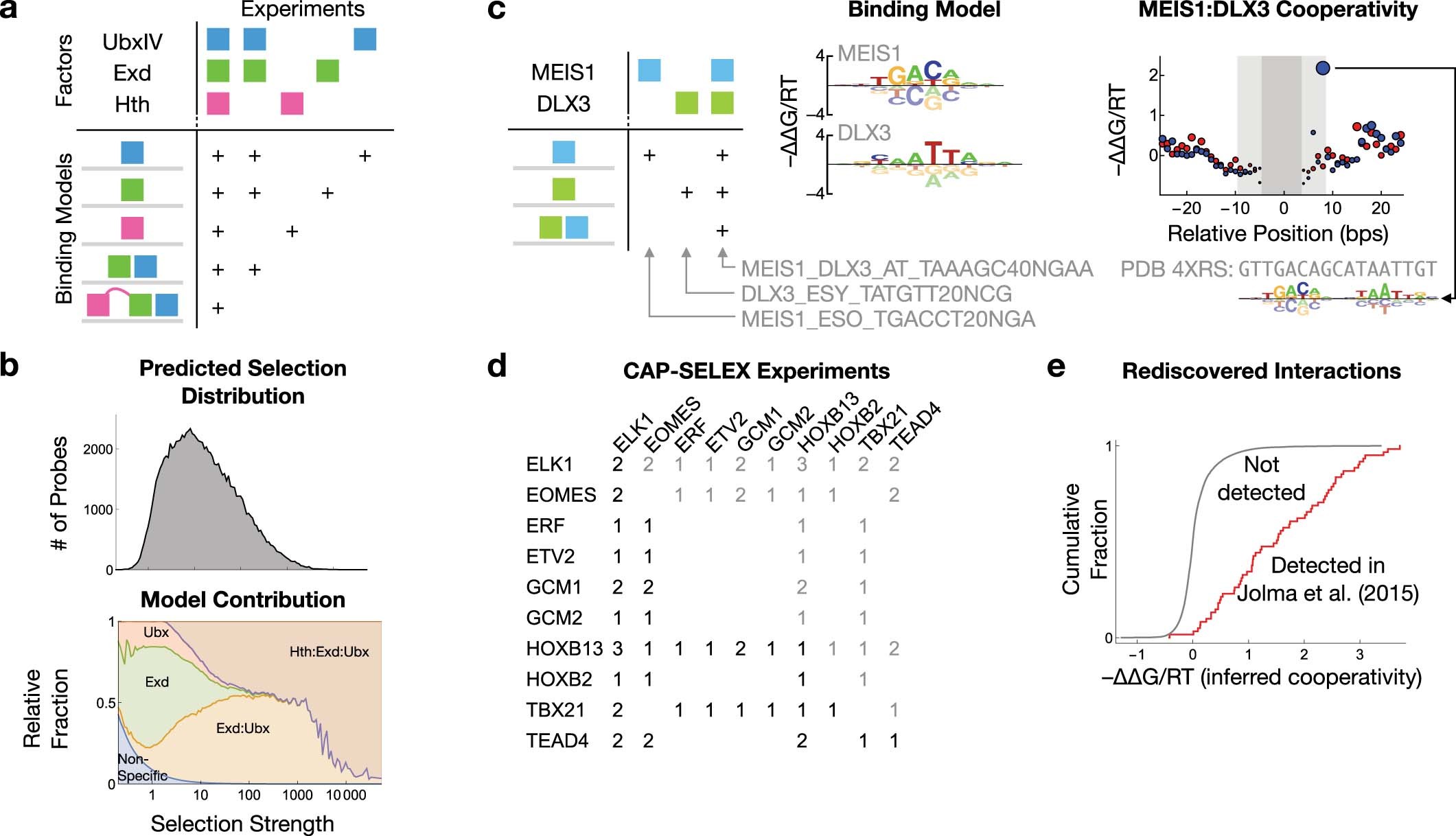 Extended Data Fig. 2: Integrative modeling to quantify TF binding cooperativity.