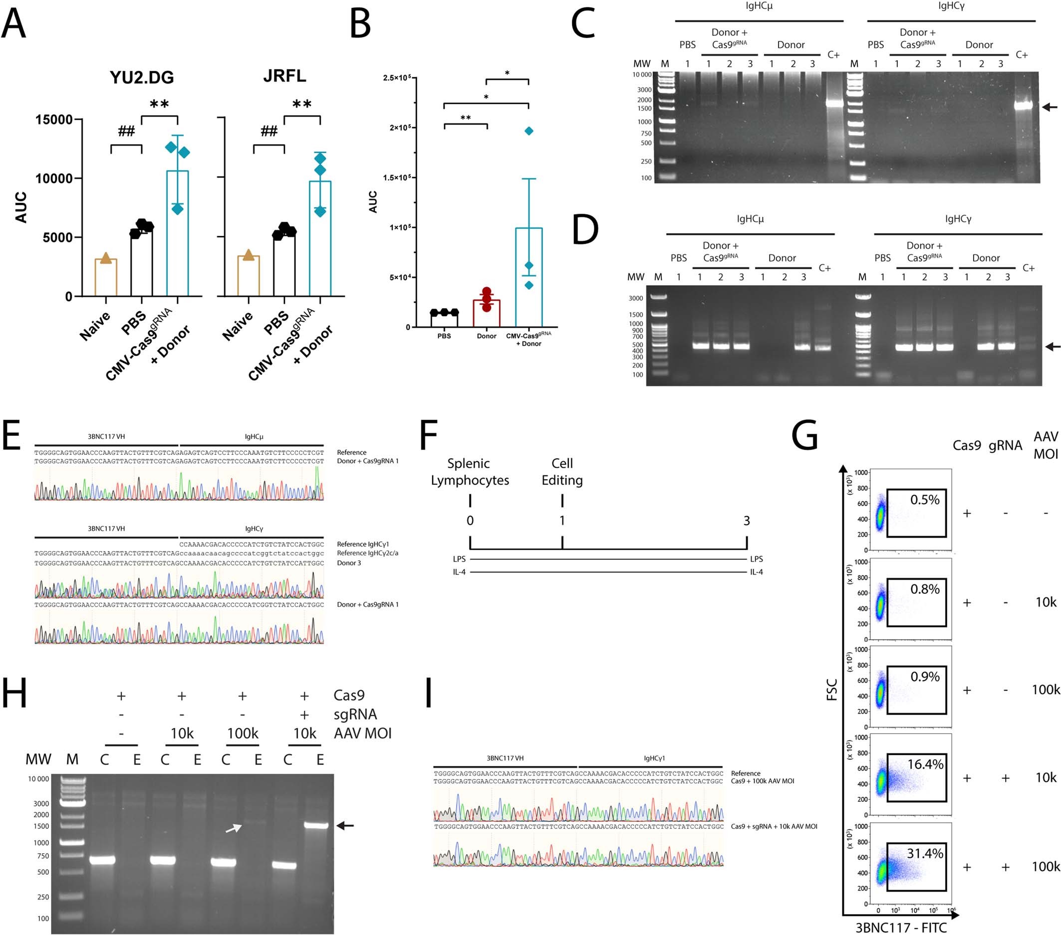 Extended Data Fig. 2: bNAb genomic integration, sera titers and neutralization as a function of immunizations and co-injection of the CRISPR-Cas9 vector.