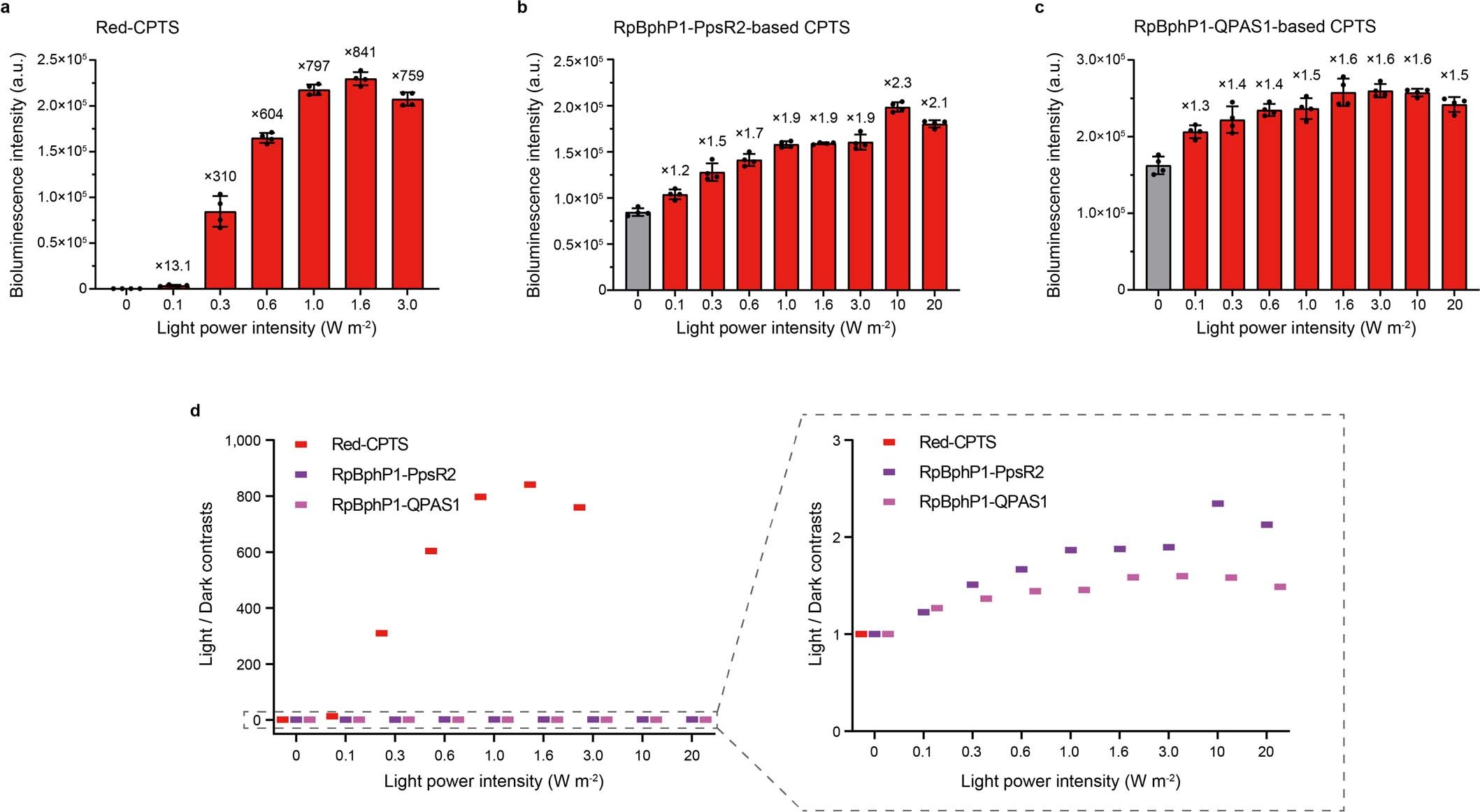 Extended Data Fig. 3: Comparison of Red-CPTS and RpBphP1-PspR2/QPAS1-based CPTS at different illumination intensities.