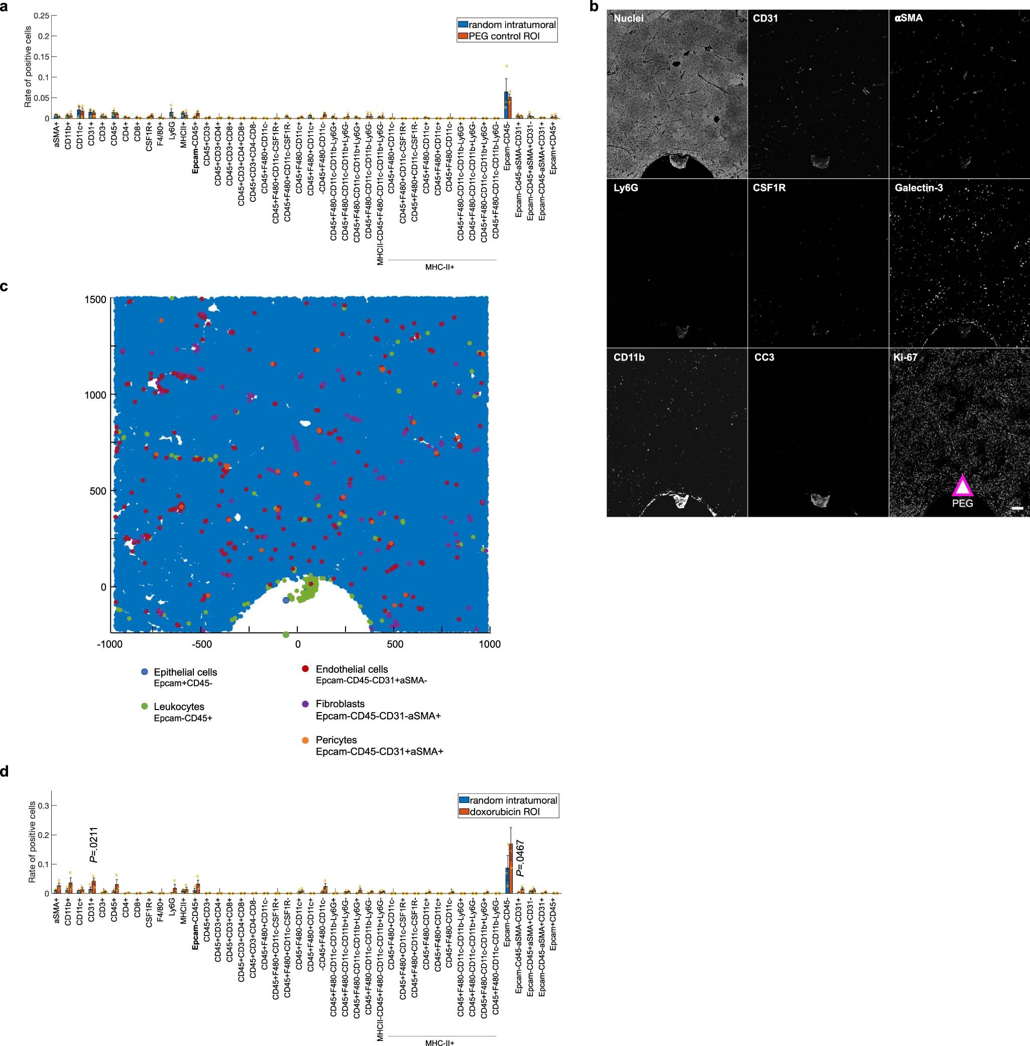 Extended Data Fig. 3: Locally induced TME changes at the PEG negative control and doxorubicin delivery sites.