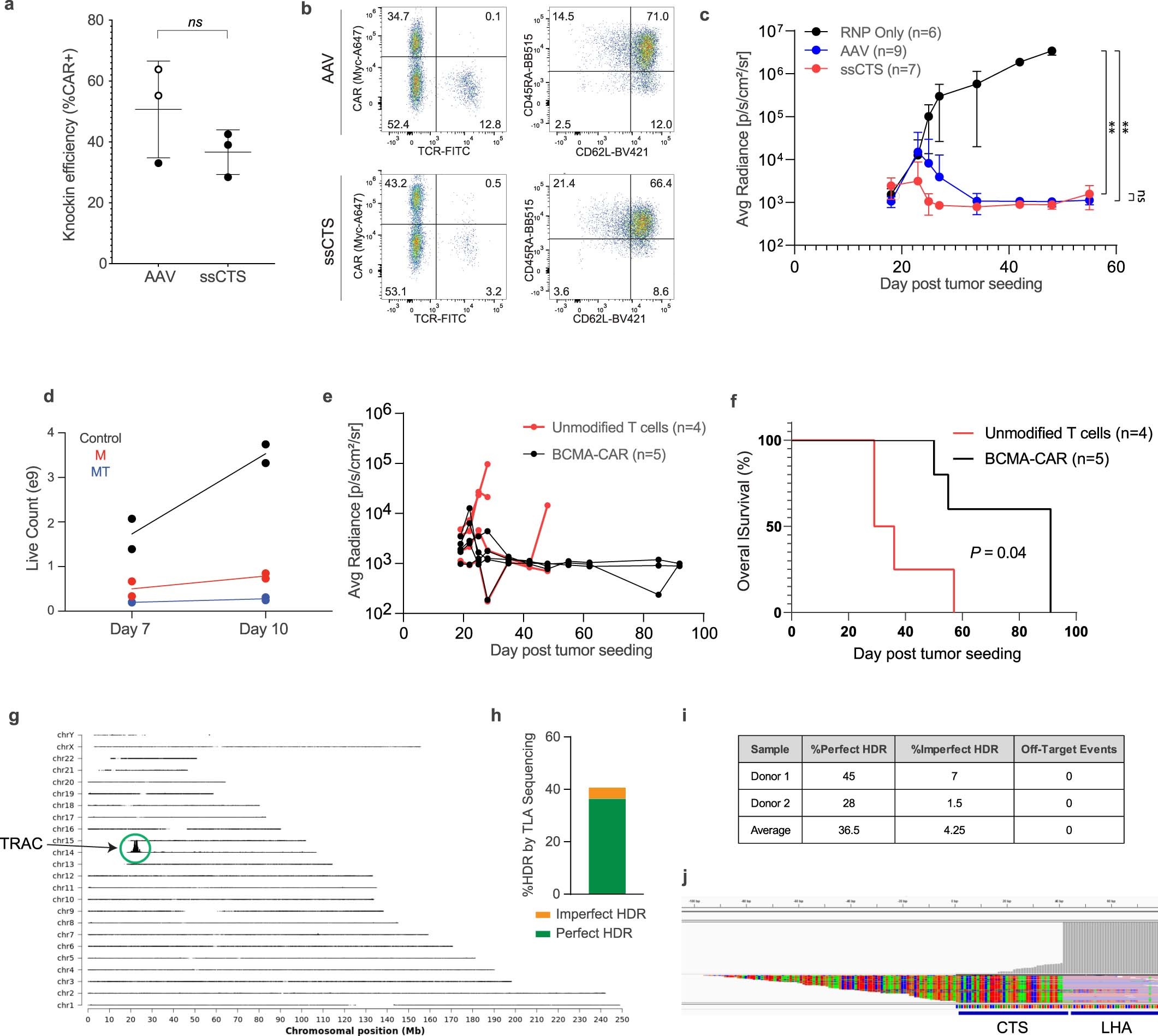 Extended Data Fig. 10: Evaluation of a nonviral strategy for anti-BCMA CAR-T cell manufacturing.