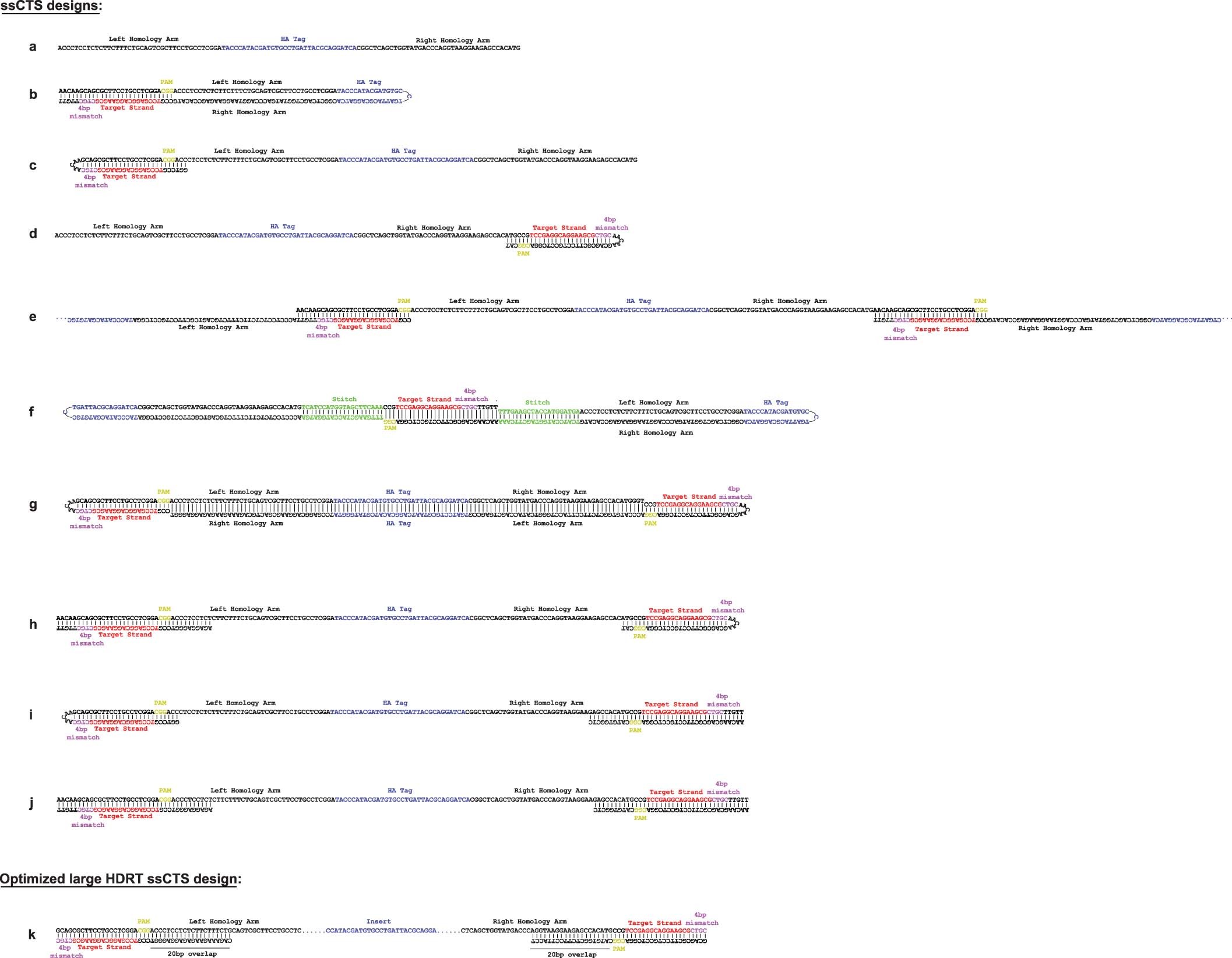 Extended Data Fig. 1: Illustration of ssCTS designs.