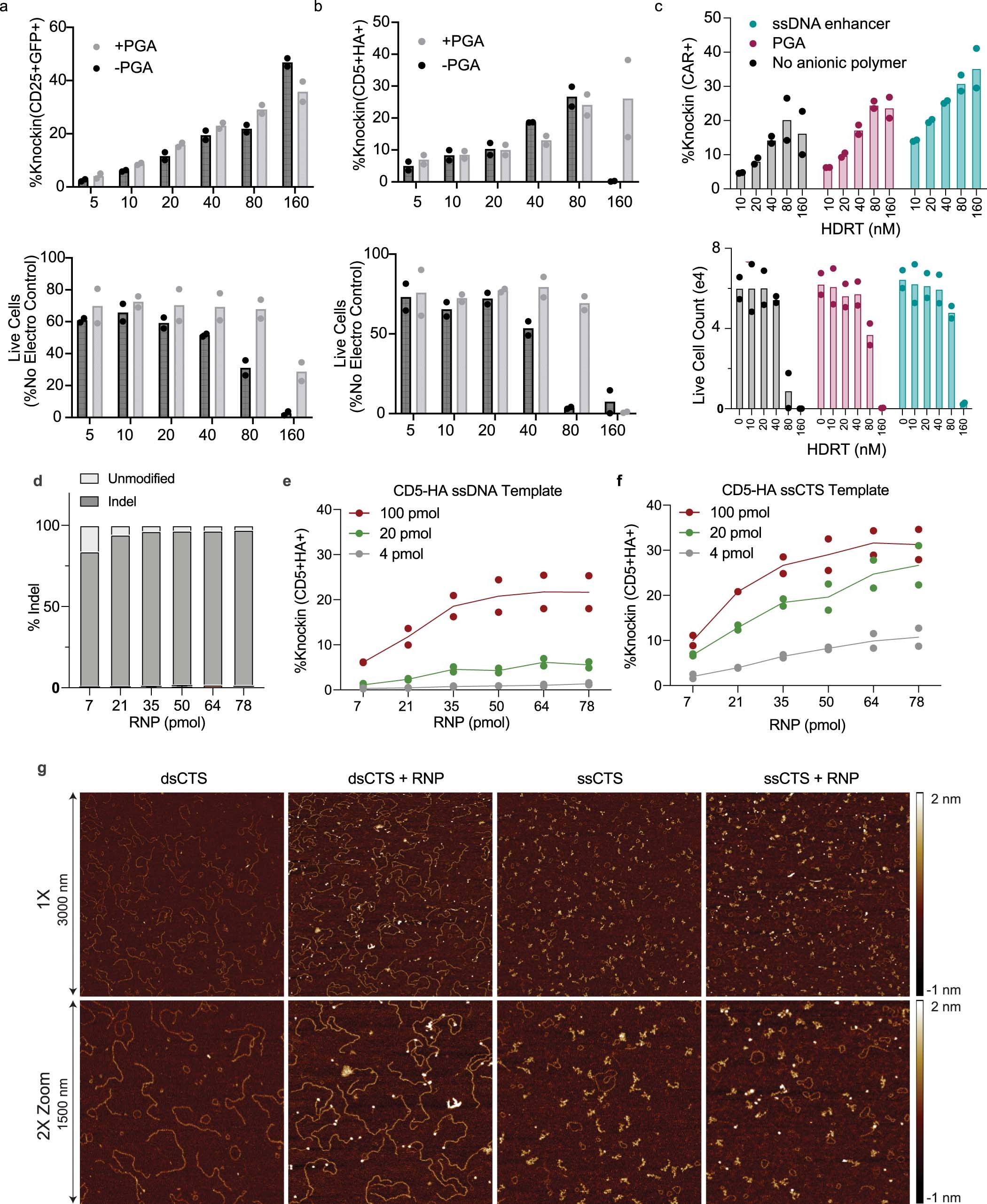 Extended Data Fig. 4: Additional parameters affecting ssCTS knockin and biophysical analysis of RNP interactions with HDRTs.