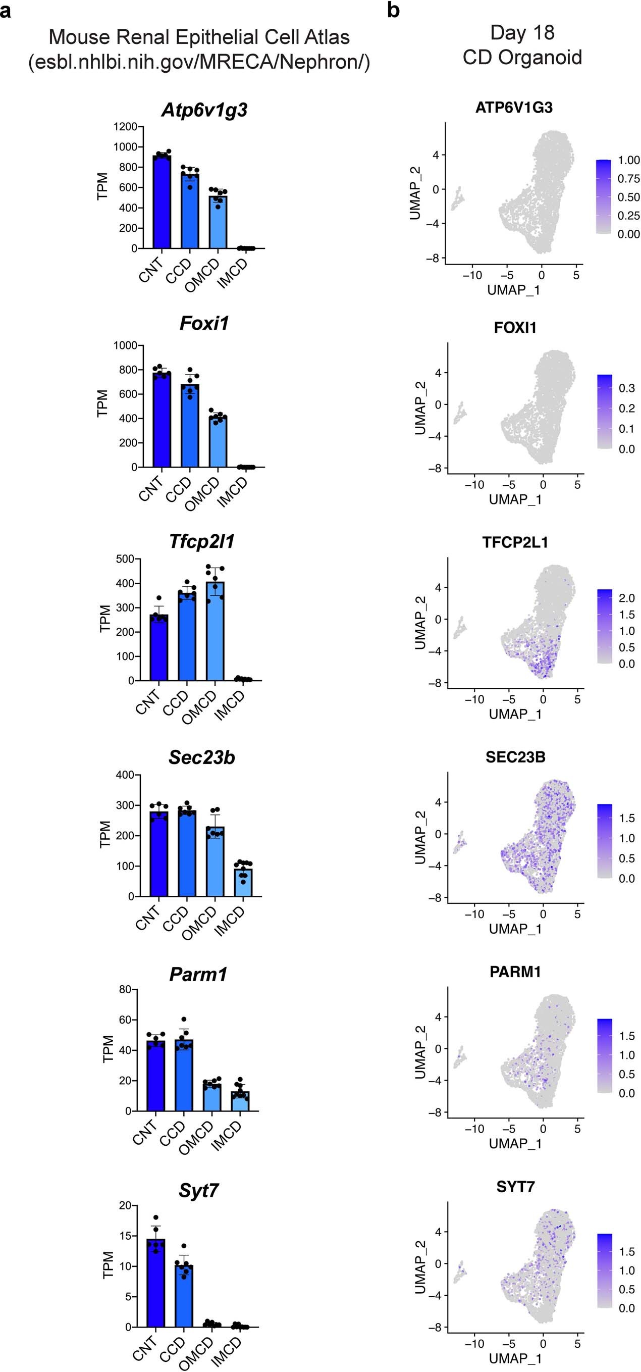 Extended Data Fig. 9