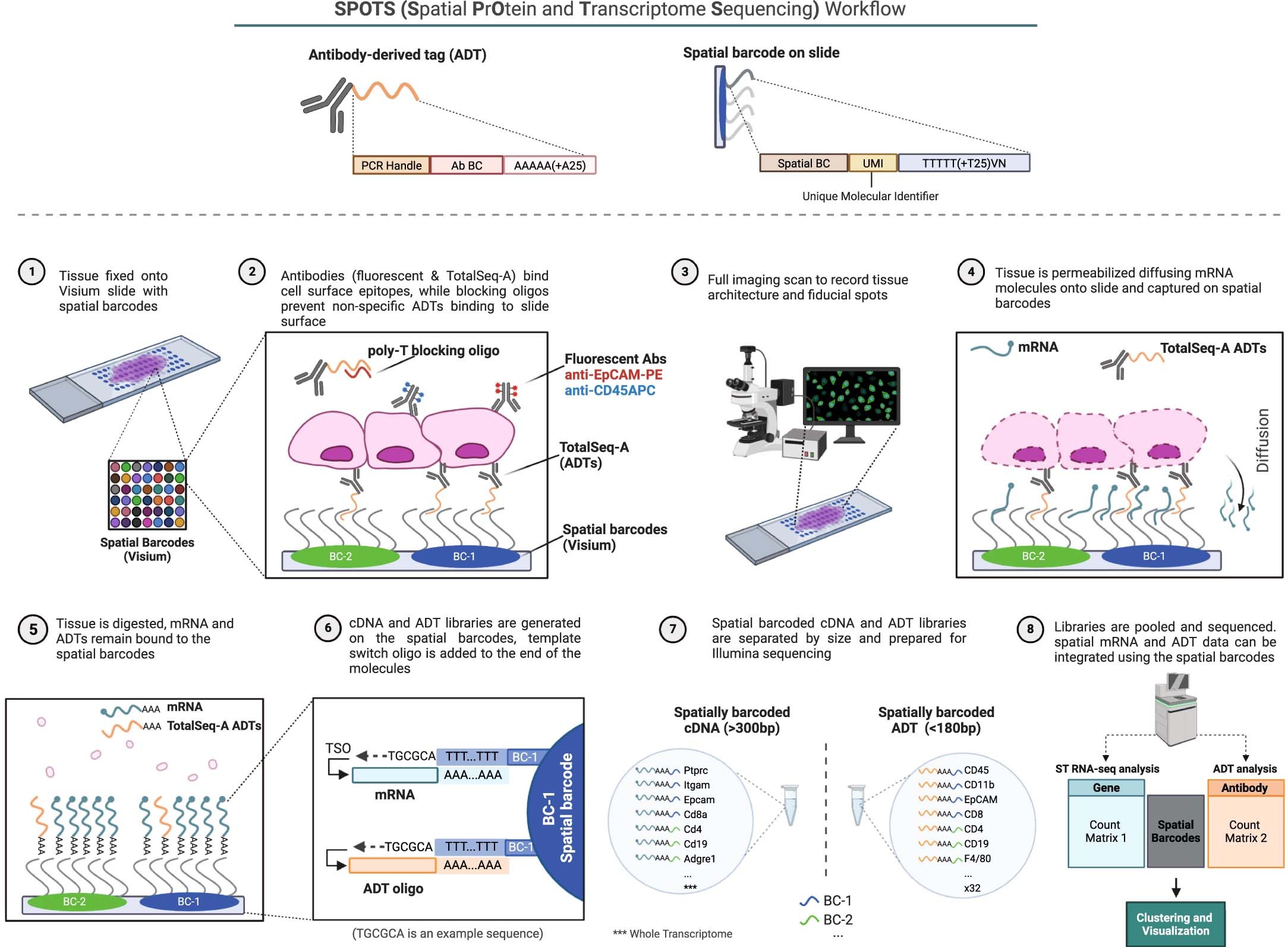 Extended Data Fig. 1