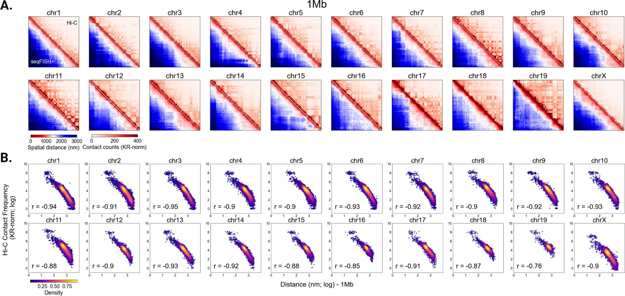 Extended Data Fig. 1: Spatial genome alignment on 1 Mb seqFISH+ chromatin imaging of mESCs.