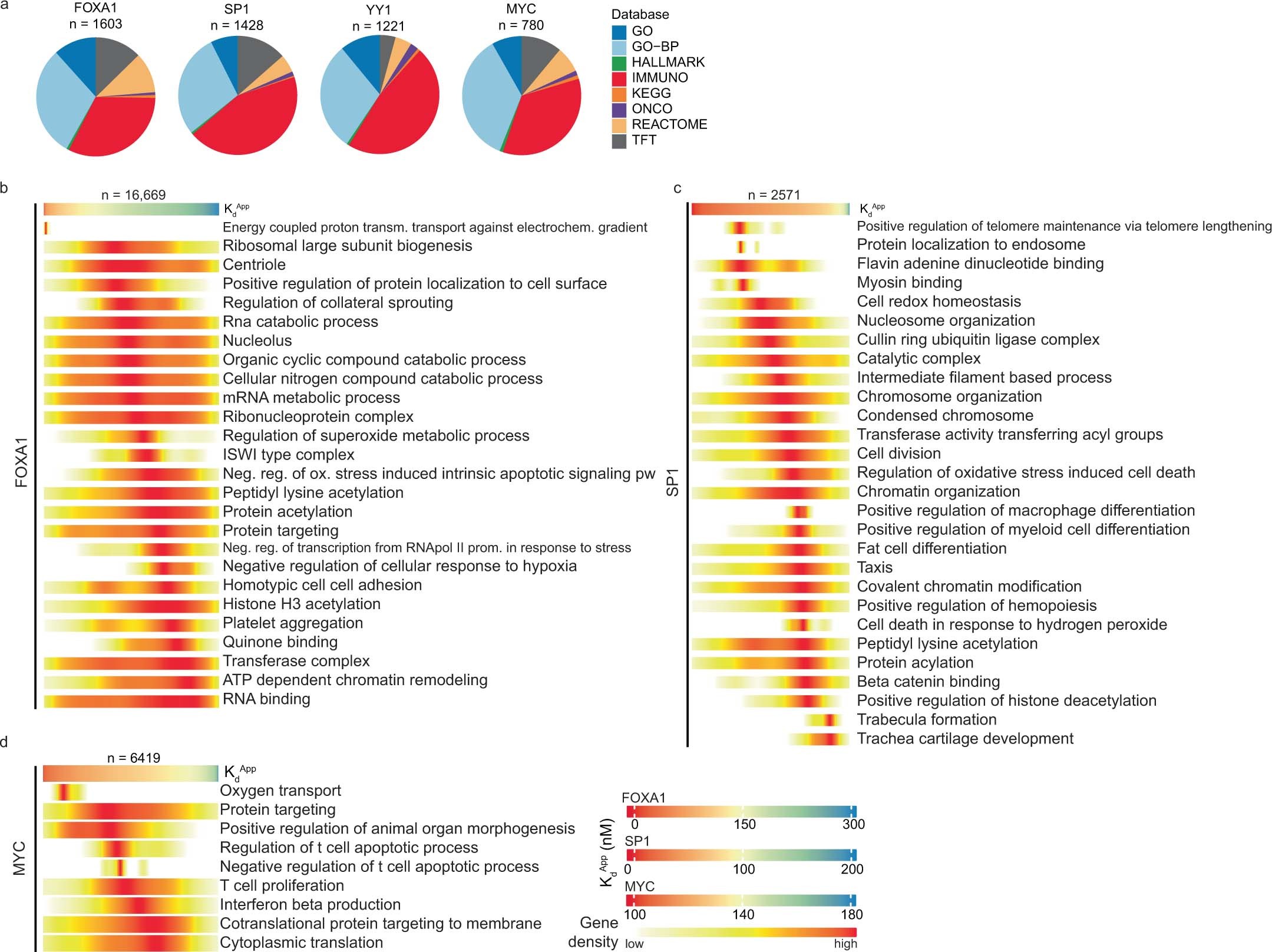 Extended Data Fig. 9: Affinity dependent binding of transcription factor target genes.