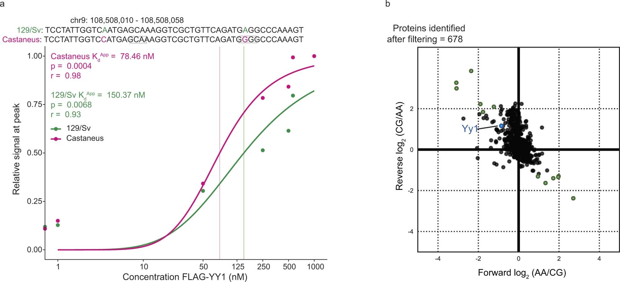 Extended Data Fig. 10: Minor sequence variations in and near the consensus motif of YY1 fine-tune apparent binding affinities.