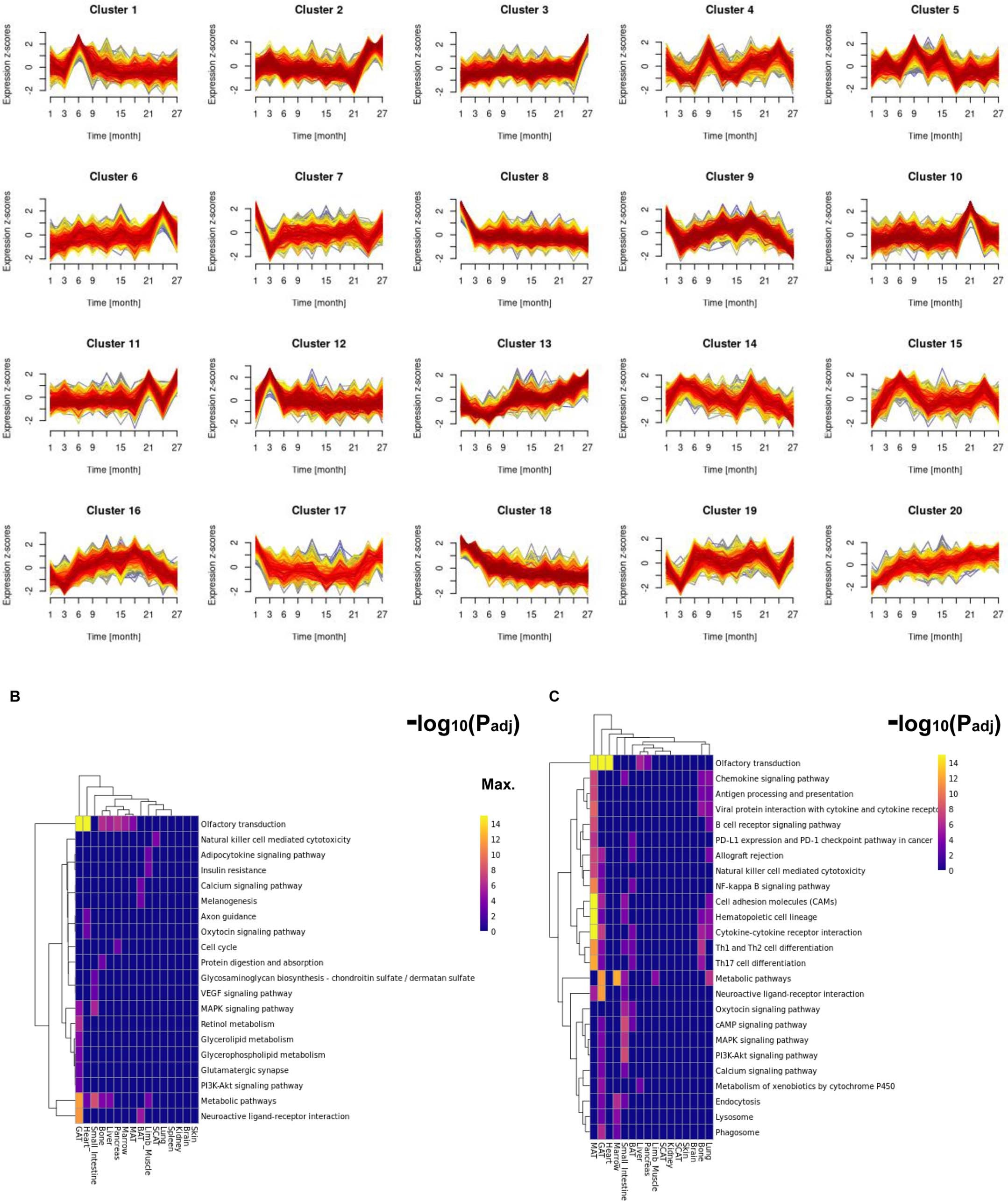 Extended Data Fig. 6