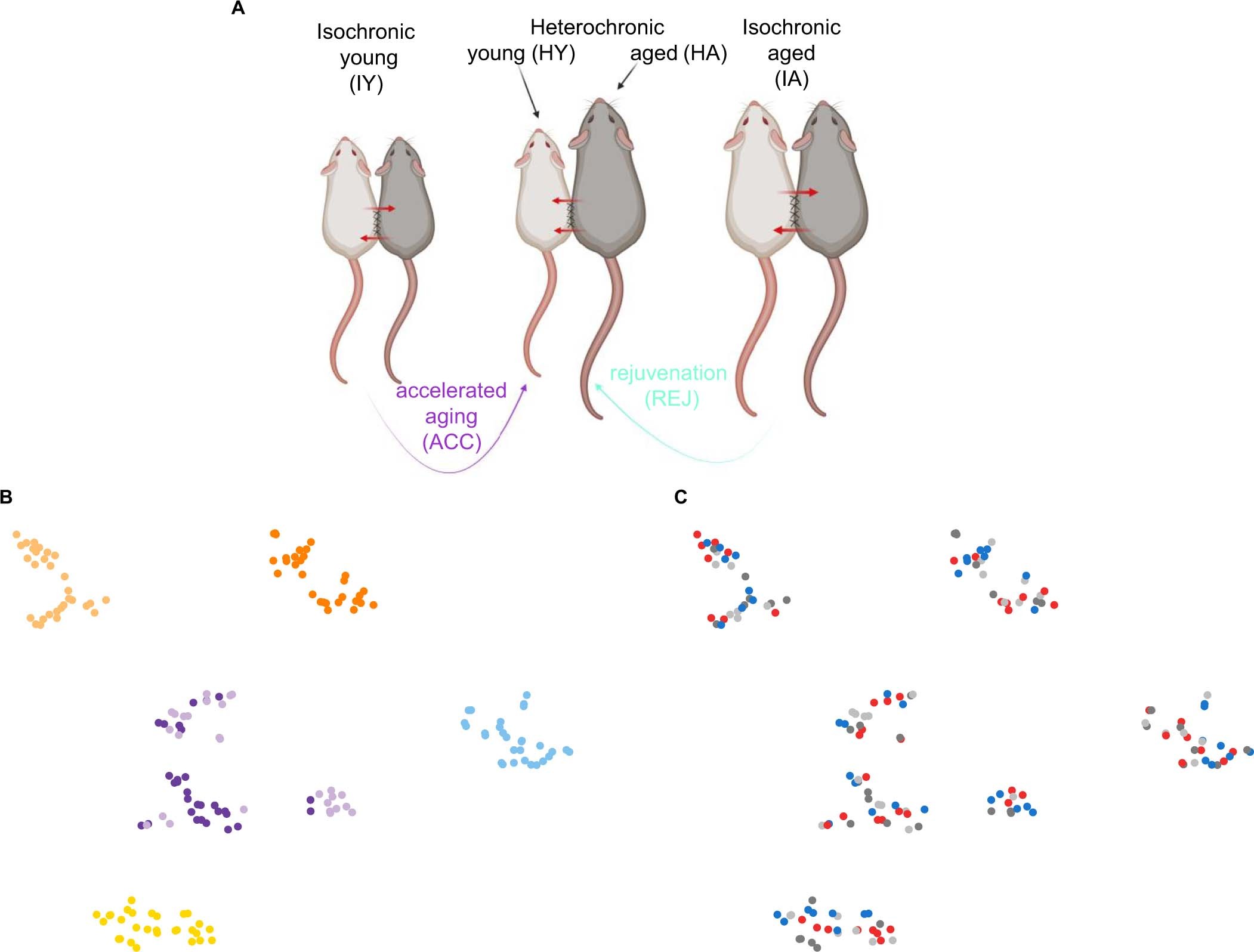 Extended Data Fig. 8