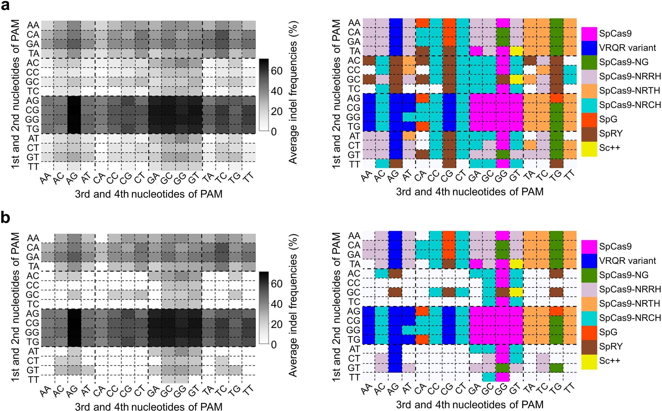 Extended Data Fig. 5: Comparison of Cas9 variants with different PAM compatibilities.