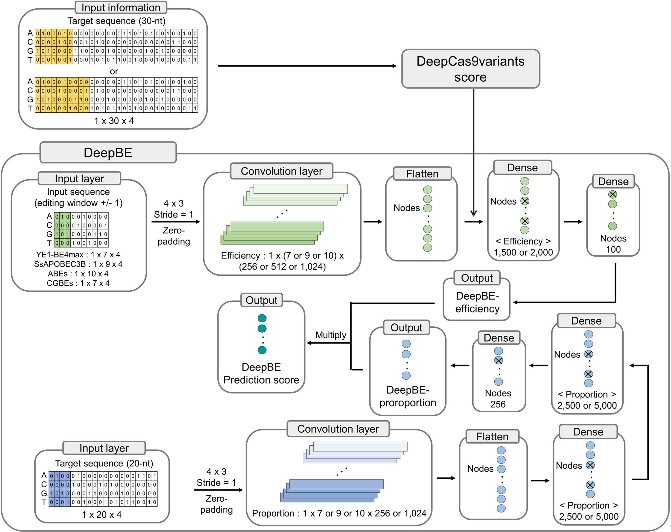 Extended Data Fig. 8: Architecture of DeepBE generation.