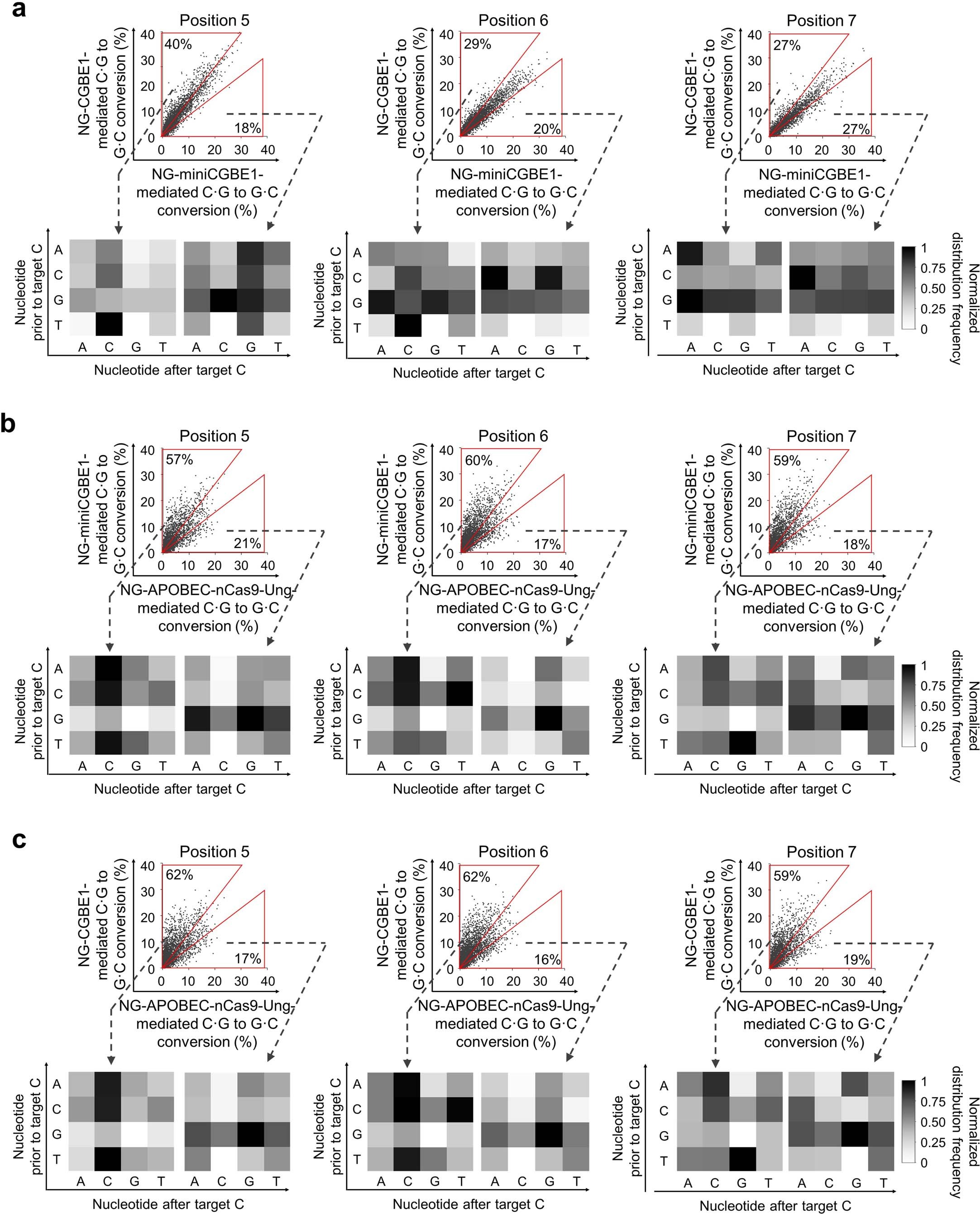 Extended Data Fig. 3: Comparison of base editing efficiencies induced by different CGBEs.