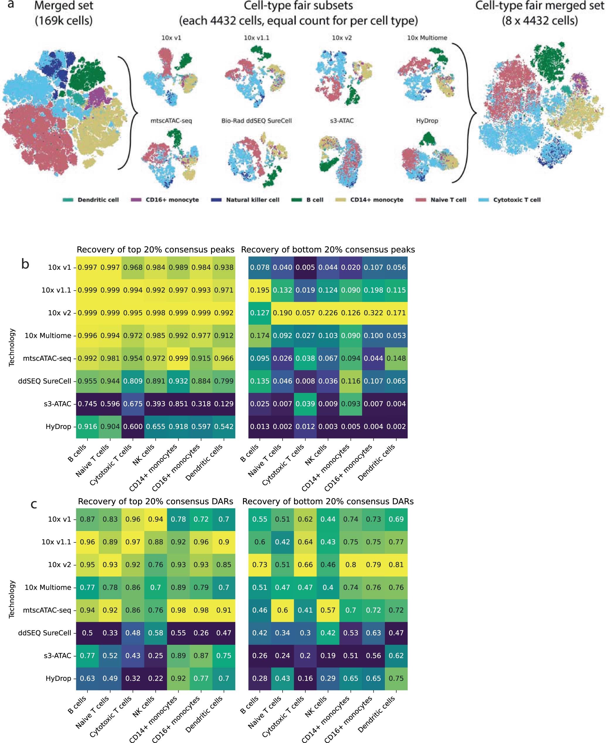 Extended Data Fig. 4: Cell-type fair subsetting and peak/DAR calculation.