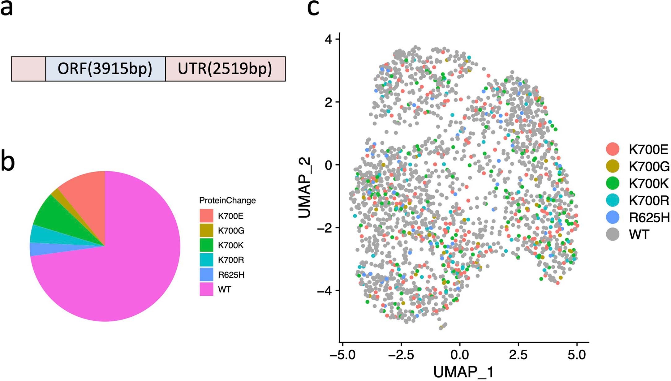 Extended Data Fig. 10: Single-cell genotyping of SF3B1 gene using TISCC-seq.